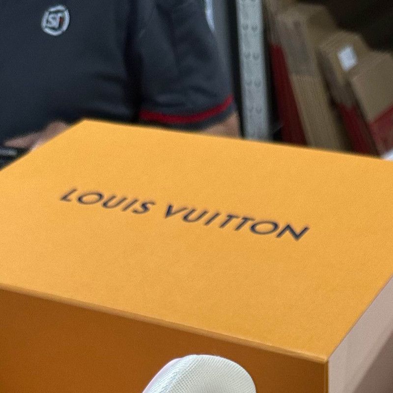 Louis Vuitton Black Low-Top Trainer Sneakers -2505