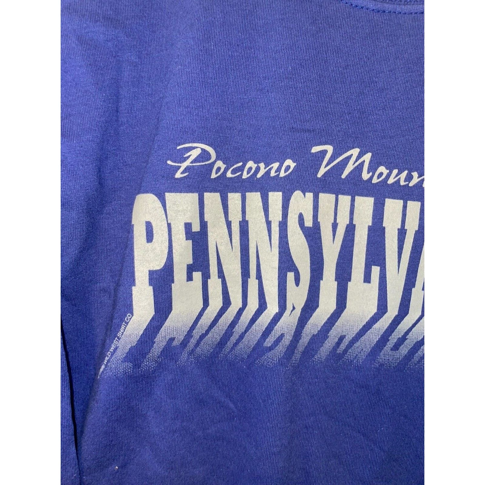 Anvil Vintage Pocono Mountains Long Sleeve Shirt Bear Tee 90s L Size US L / EU 52-54 / 3 - 3 Thumbnail