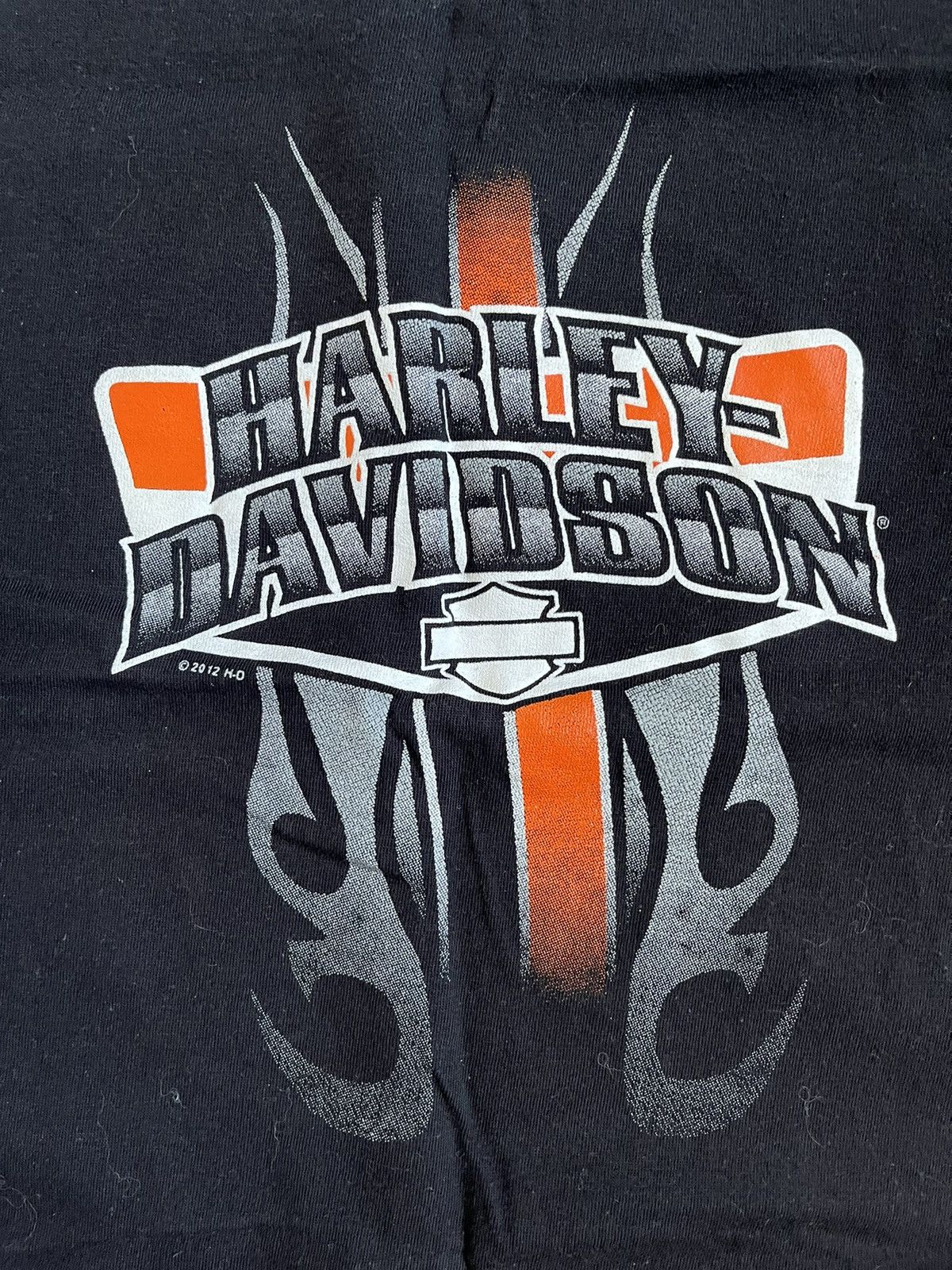 Harley Davidson Harley Davidson Haven Virginia Beach Usa Men Black T-shirt Size US L / EU 52-54 / 3 - 4 Thumbnail