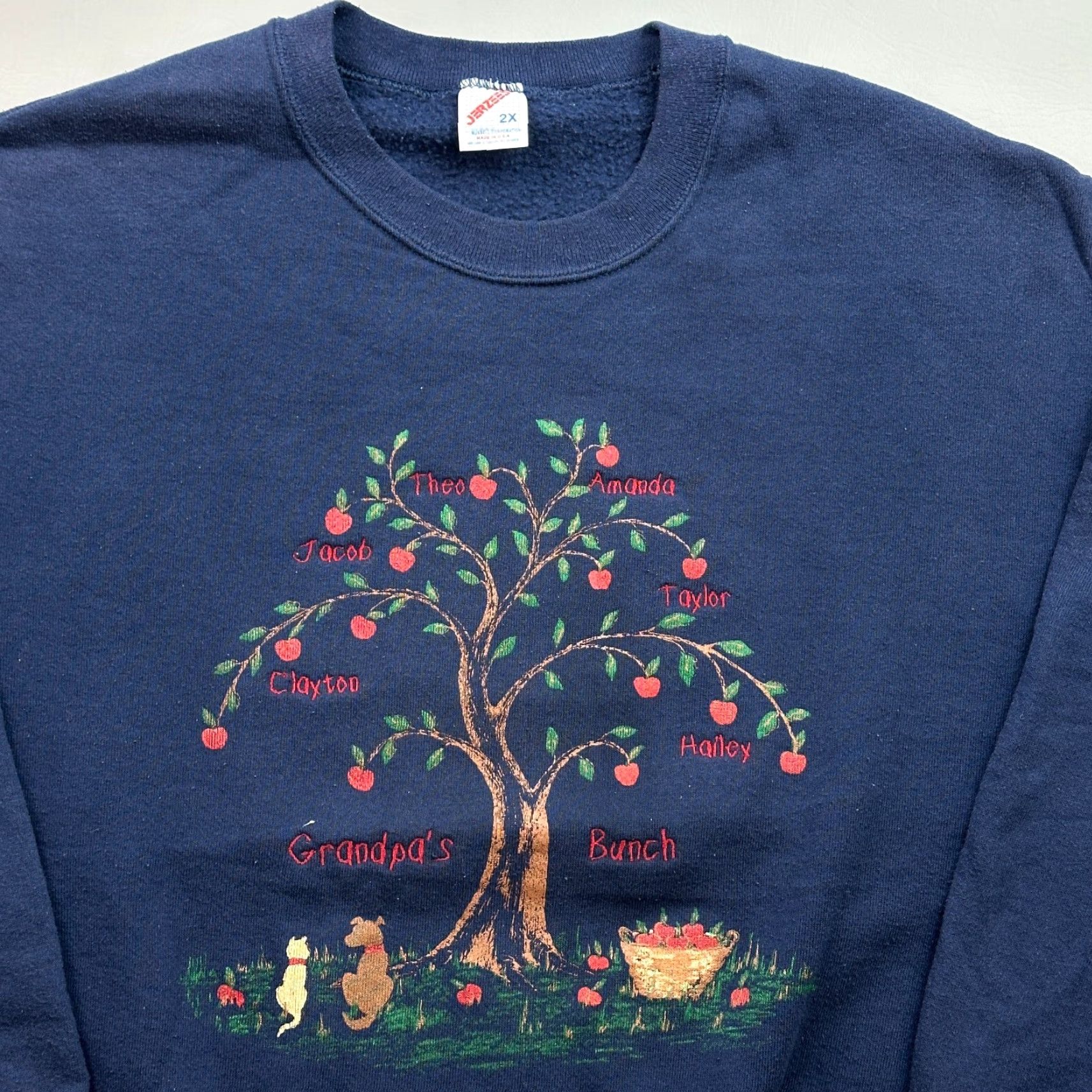 Jerzees VINTAGE Jerzees Sweatshirt Mens 2XL Blue Embroidered Family Tree USA Made 90s Size US XXL / EU 58 / 5 - 4 Thumbnail