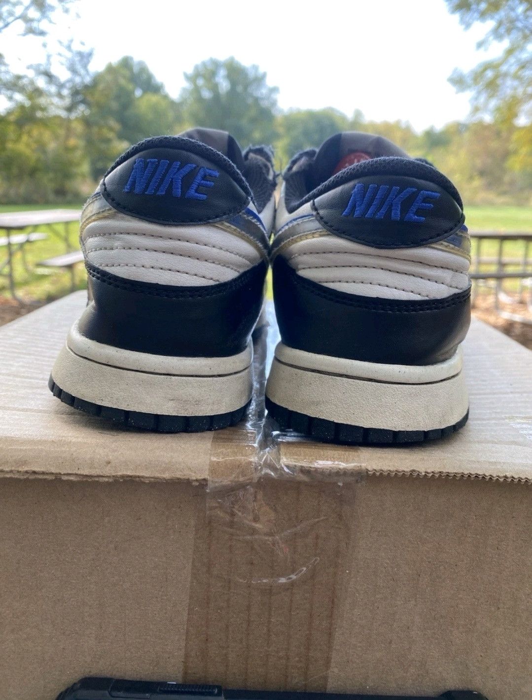 Nike Nike Dunk Low Next Nature GS TPU Swoosh FD0689001 Size 7Y Size US 7 / EU 40 - 5 Thumbnail