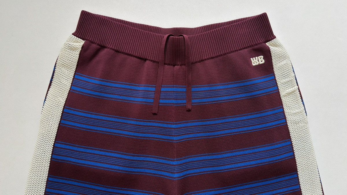 Wales Bonner Sample ‘Music’ Striped Tech Knit Shorts Size US 32 / EU 48 - 4 Thumbnail