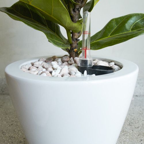 Designer × Homemade 2-Pack Smart Self-watering Planter Pot for Indoor and Outdoo Size US L / EU 52-54 / 3 - 8 Thumbnail