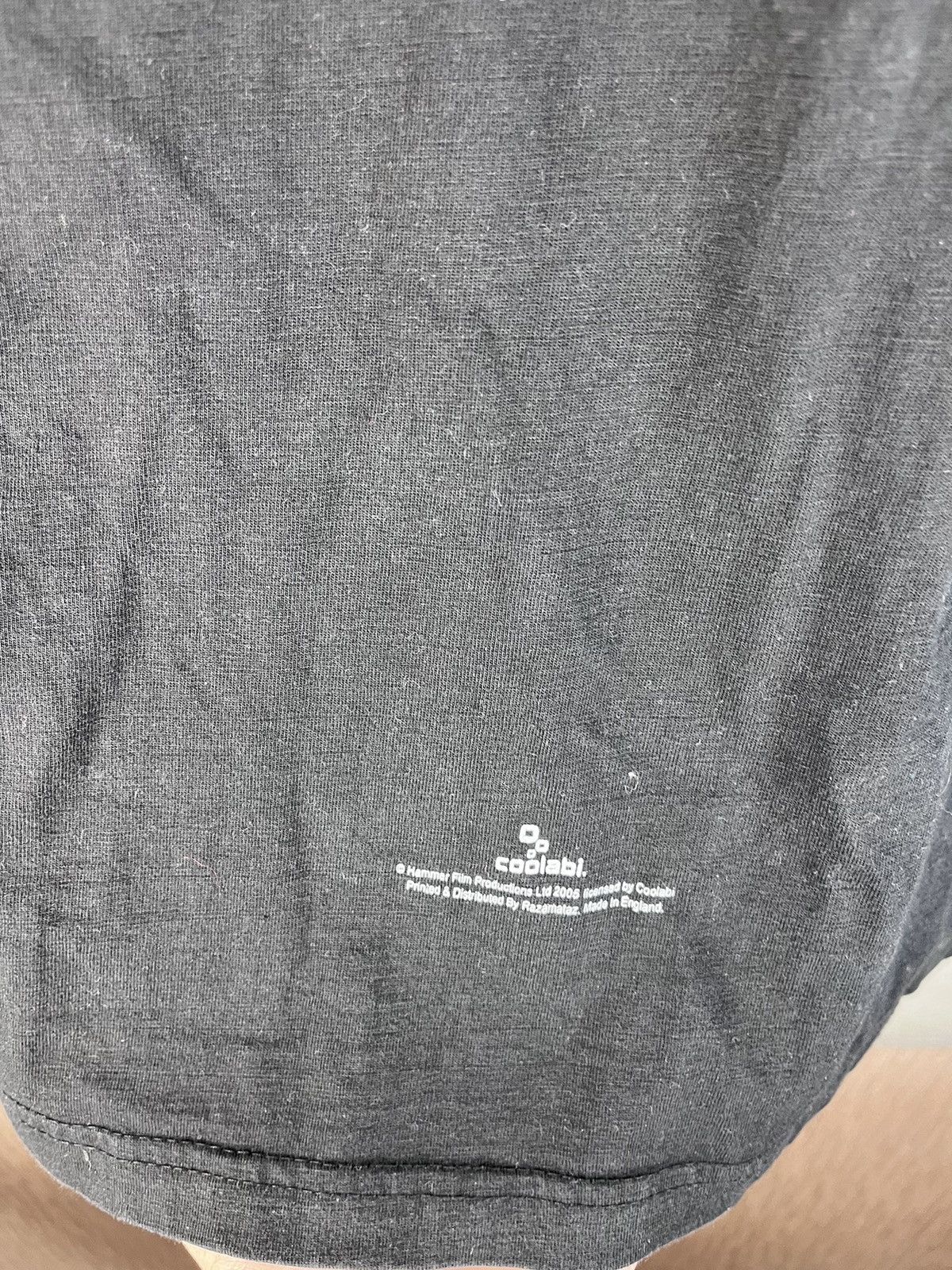 Fruit Of The Loom TASTE THE BLOOD OF DRACULA 2005 VINTAGE MOVIE GRAPHIC TEE Size US M / EU 48-50 / 2 - 9 Thumbnail