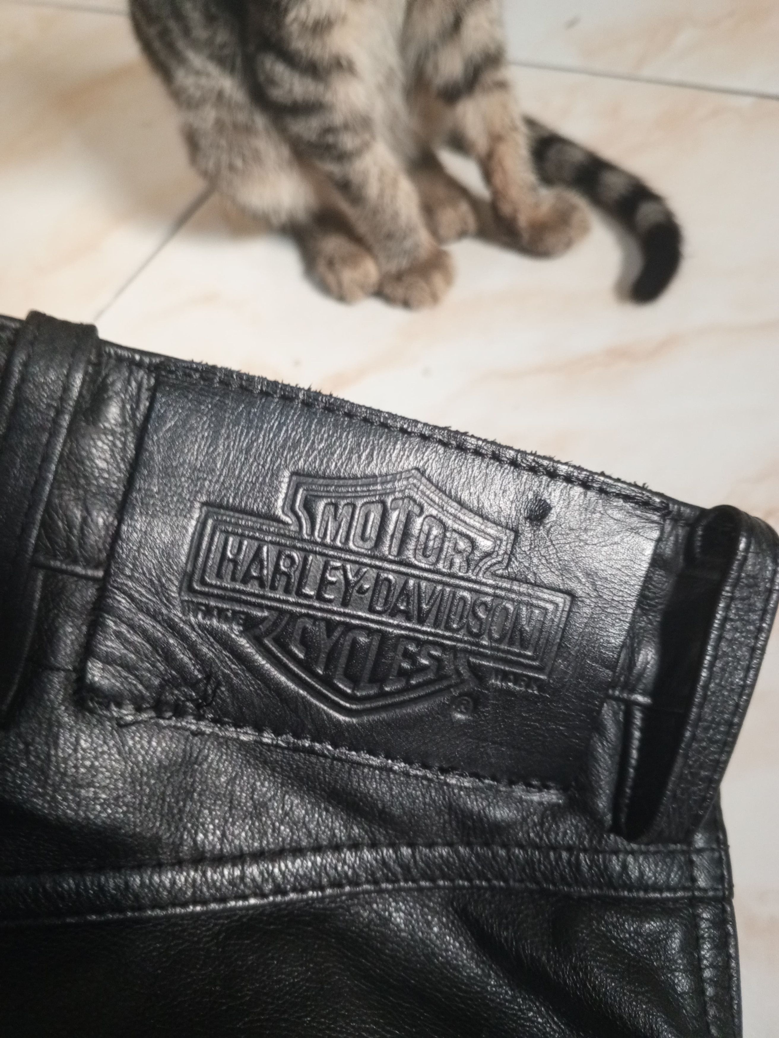Harley Davidson Genuine Leather Pants by Harley Davidson Size US 29 - 7 Thumbnail