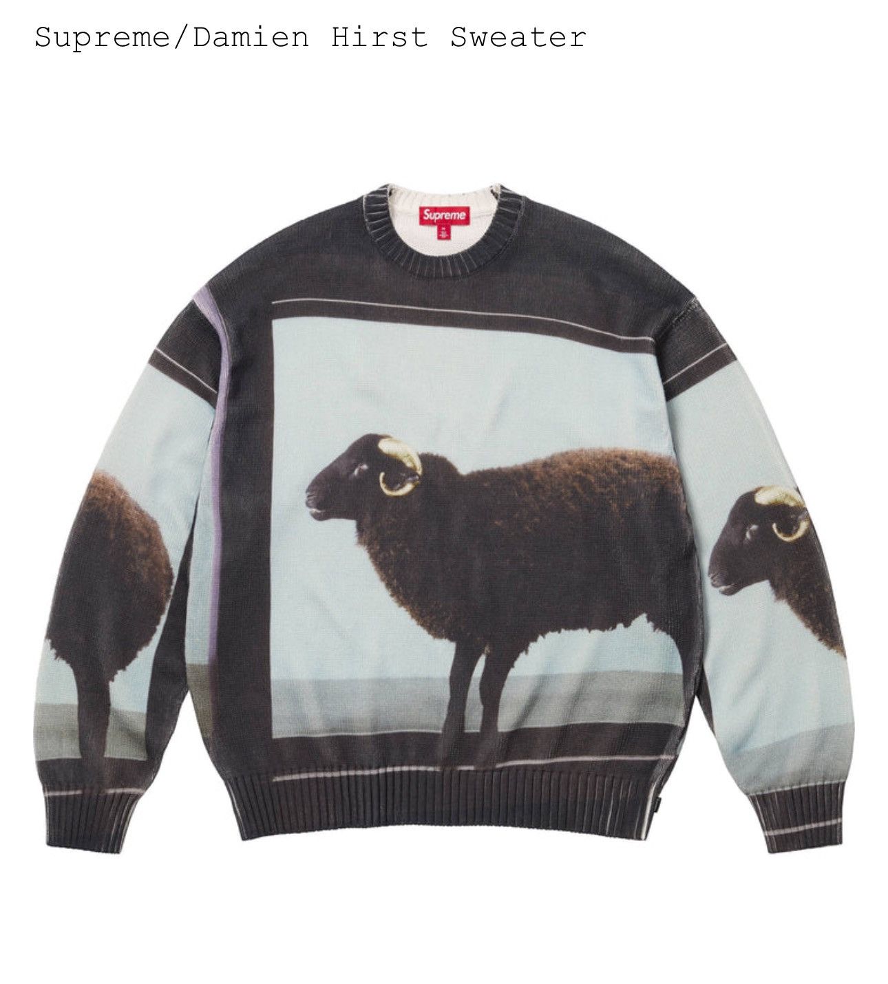Supreme Supreme Damien Hirst Sweater (2025) | Grailed