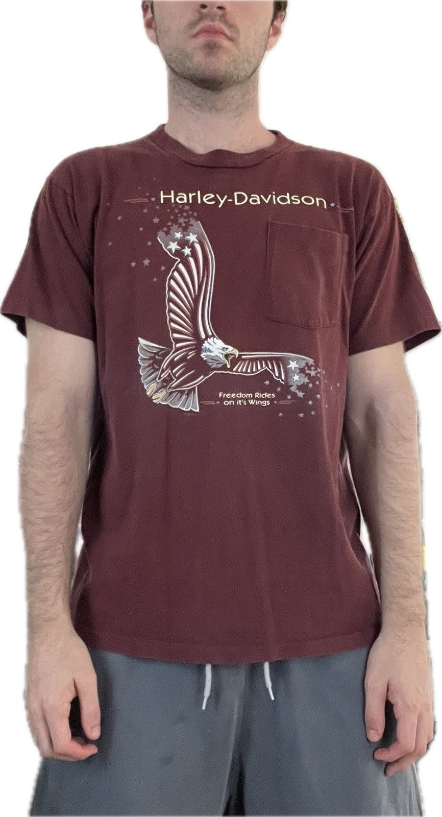 Harley Davidson Vintage 1997 Pocket T Shirt Gainesville Florida Alligator Size US L / EU 52-54 / 3 - 6 Thumbnail