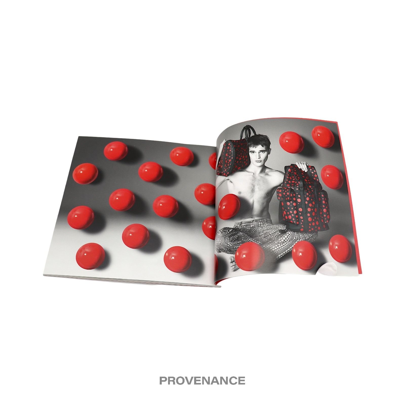 Louis Vuitton 🔴 Louis Vuitton X Yayoi Kusama Catalog Book Size ONE SIZE - 5 Thumbnail