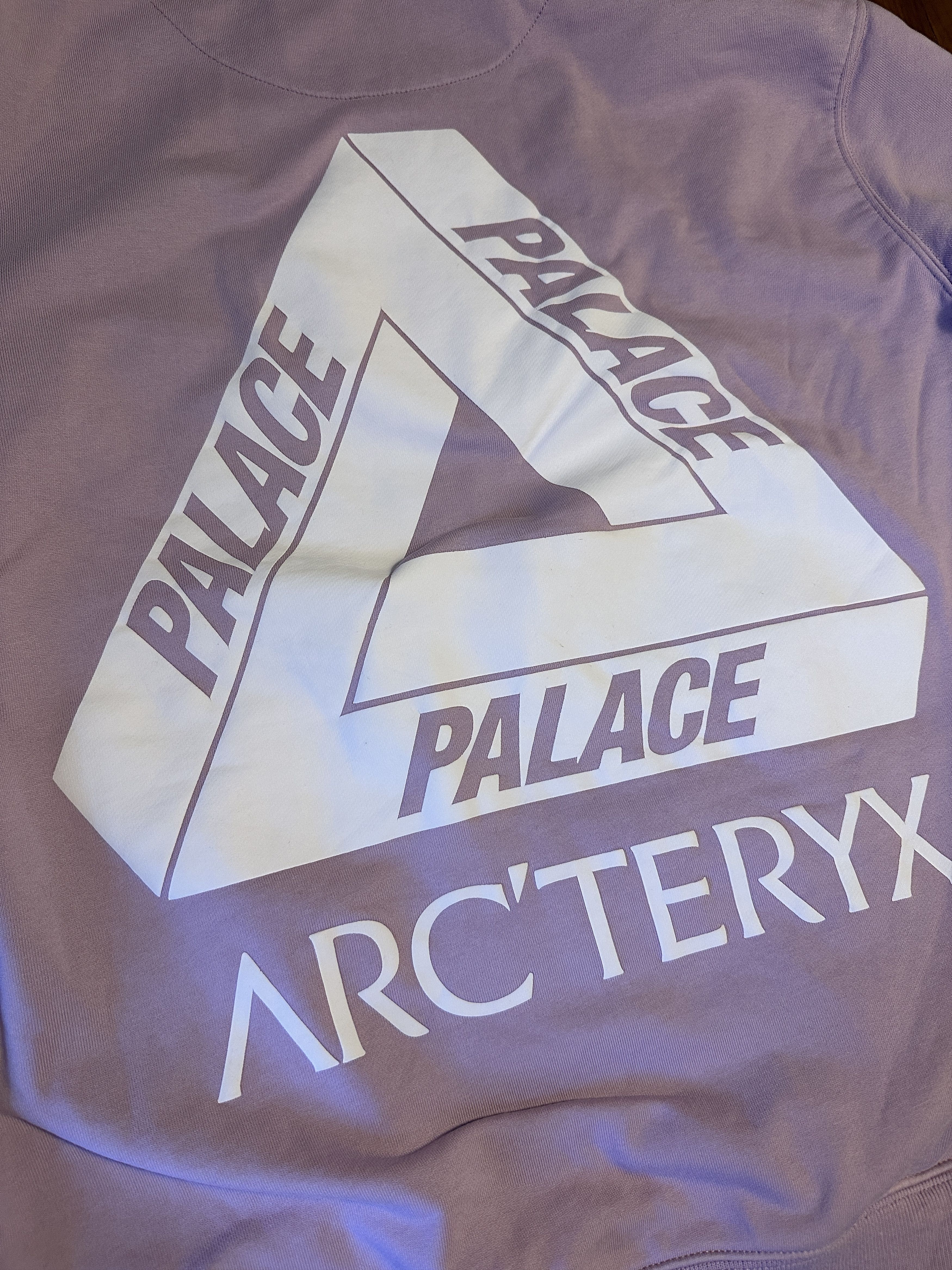 Arc'teryx × Palace Arc'Teryx x Palace Hoodie Size US L / EU 52-54 / 3 - 8 Thumbnail