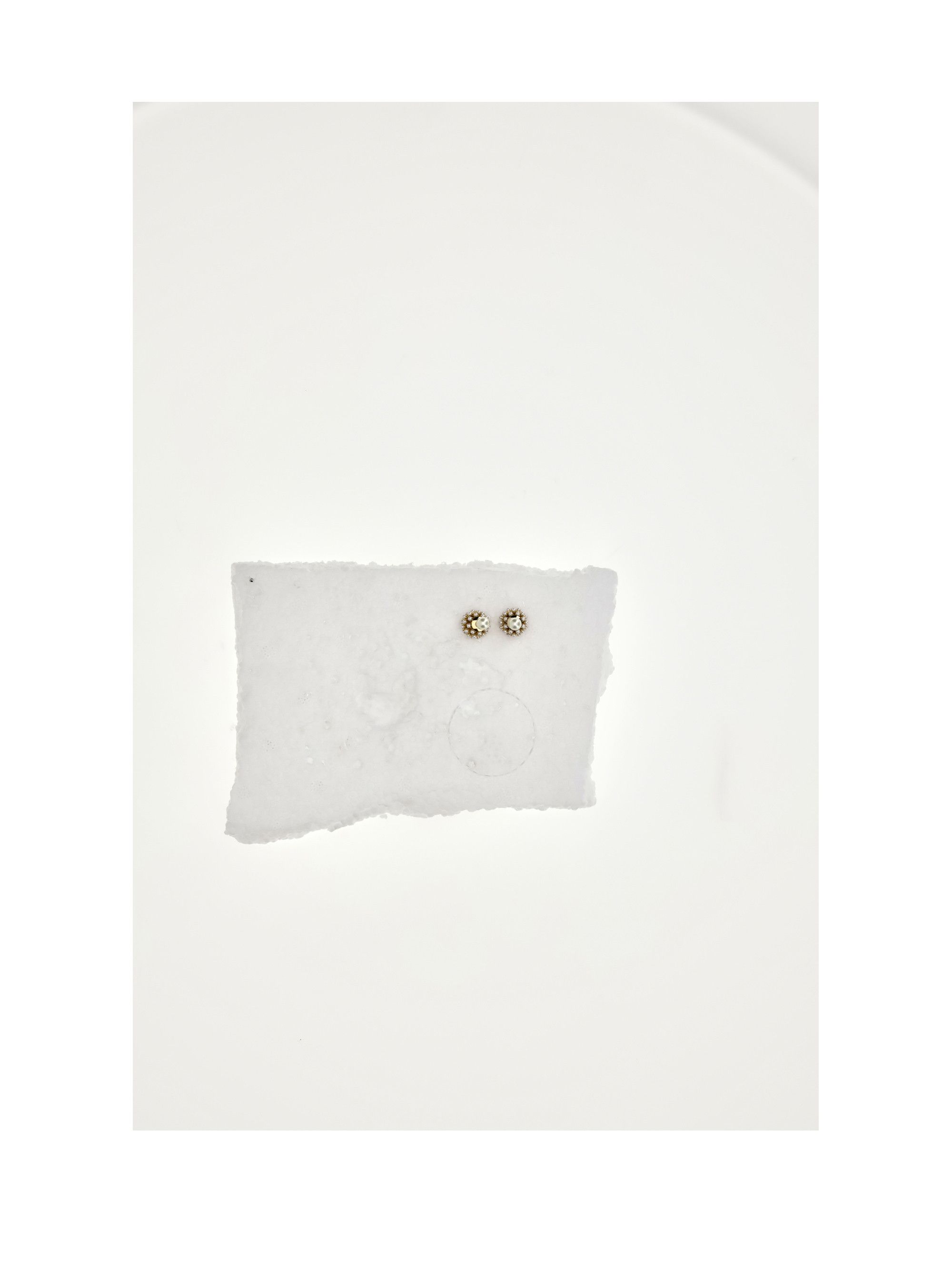 DIOR TRIBALES EARRINGS