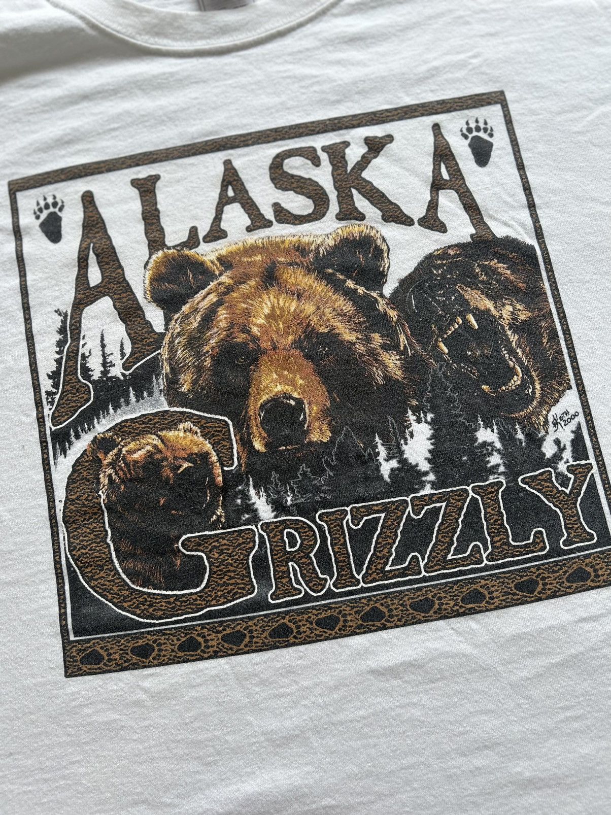 Fruit Of The Loom Vintage 2000 Alaska Grizzly Bear Graphic T-Shirt Size US L / EU 52-54 / 3 - 3 Thumbnail