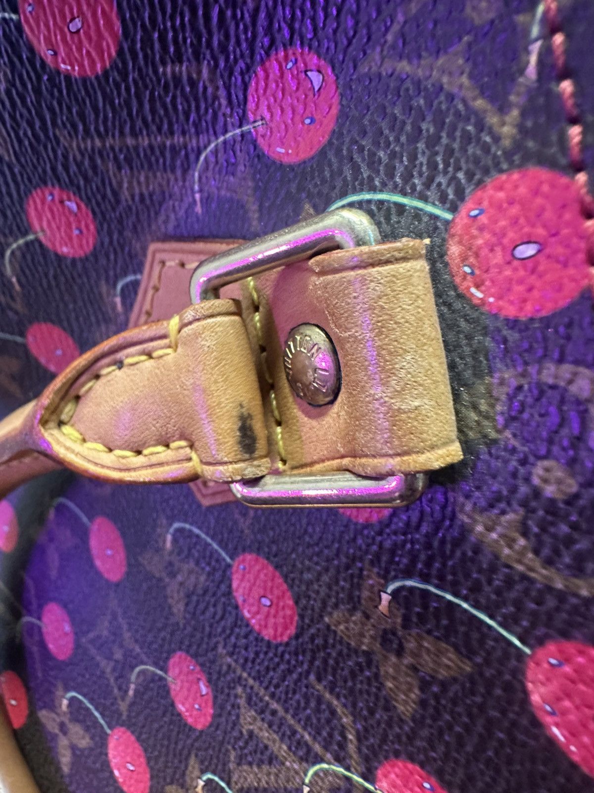 Louis Vuitton × Takashi Murakami Louis Vuitton Cherry Speedy 25 handbag Size ONE SIZE - 12 Thumbnail