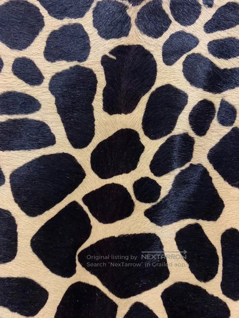 Saint Laurent Paris Saint Laurent Leopard Print Leather Jacket. Size US XL / EU 56 / 4 - 5 Thumbnail