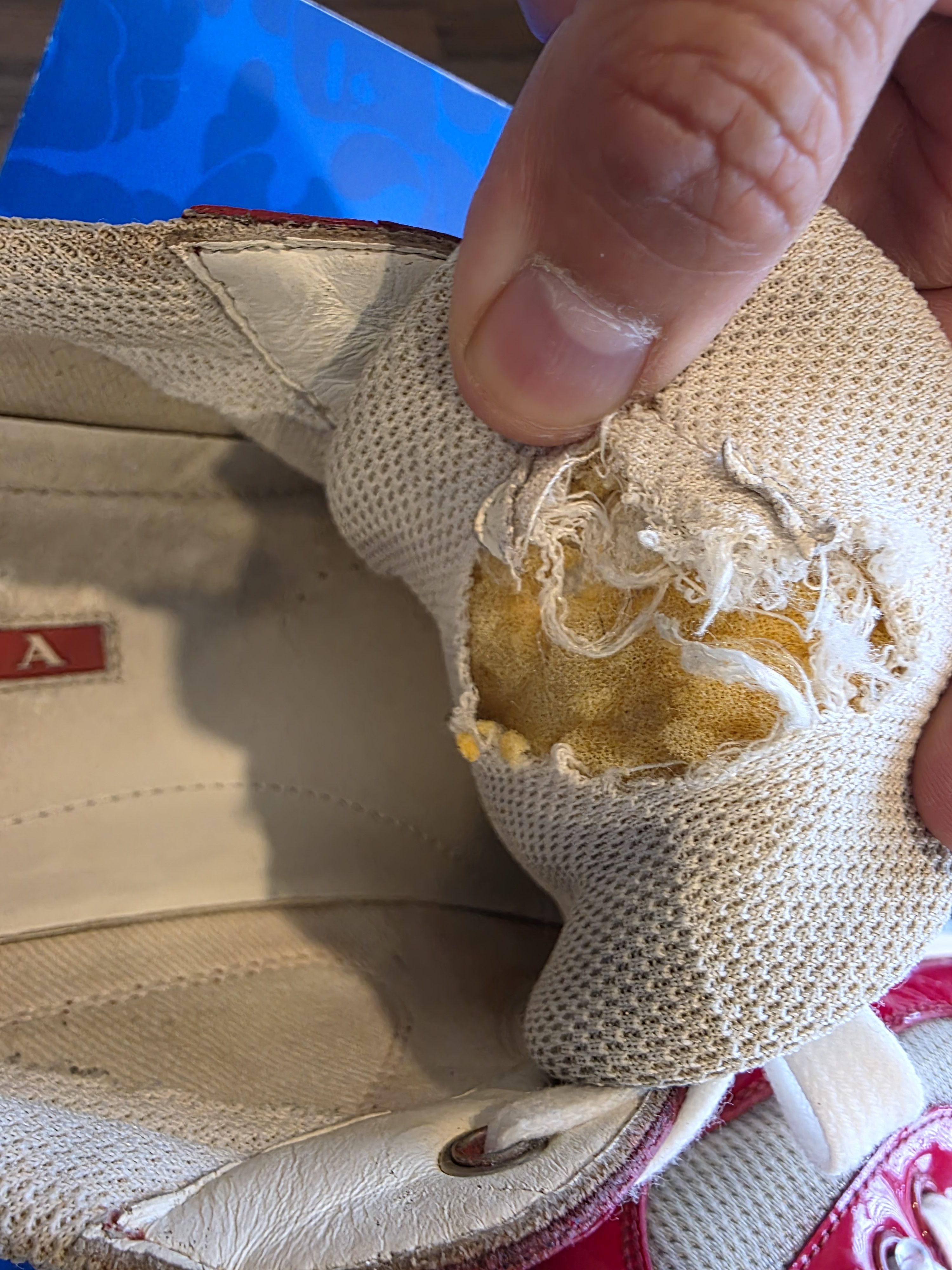 Prada Red Prada America's Cup Sneakers Size US 9 / EU 42 - 15 Thumbnail