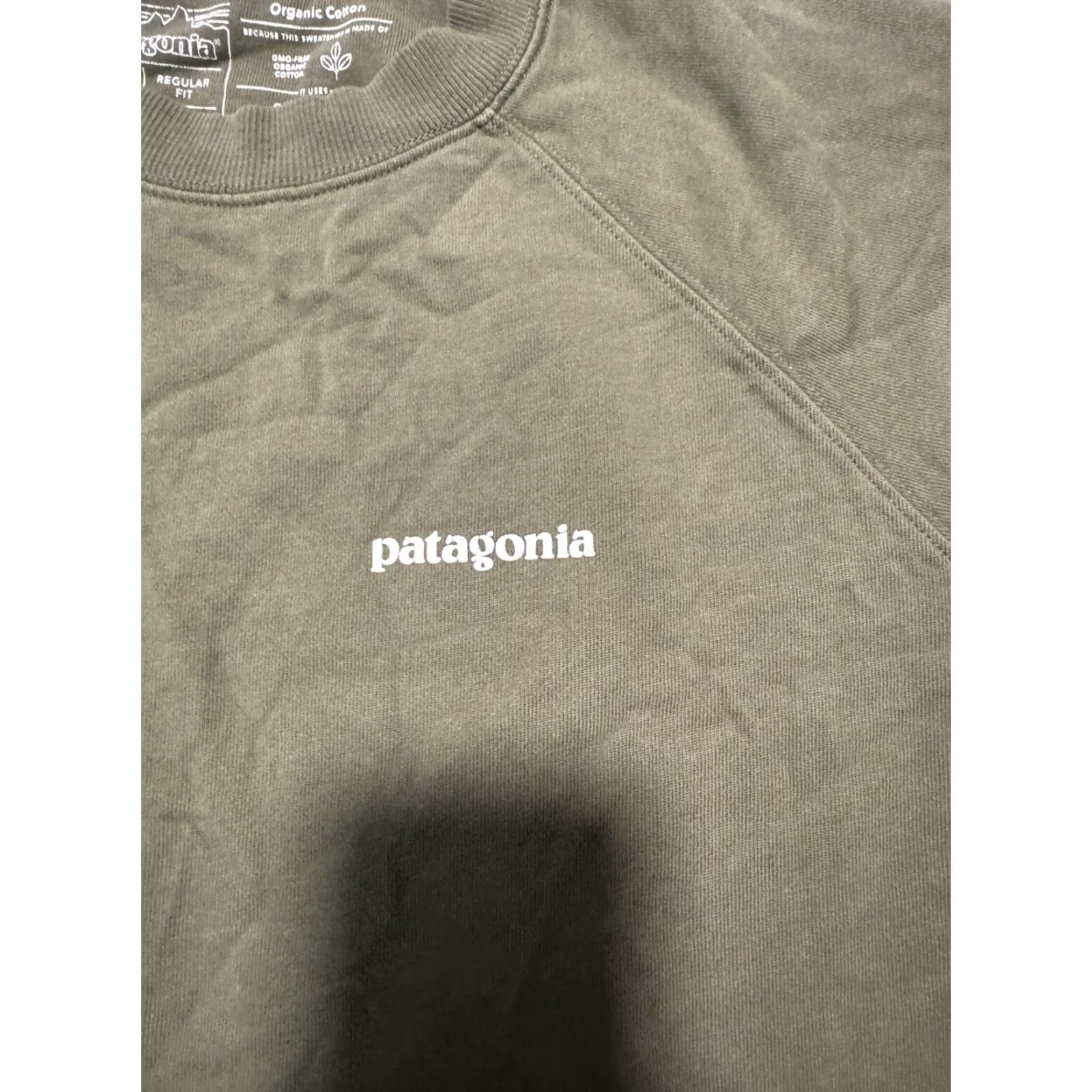 Patagonia Patagonia Sweatshirt Mens Small Green P-6 Logo Organic Crew French Terry Size US S / EU 44-46 / 1 - 3 Thumbnail