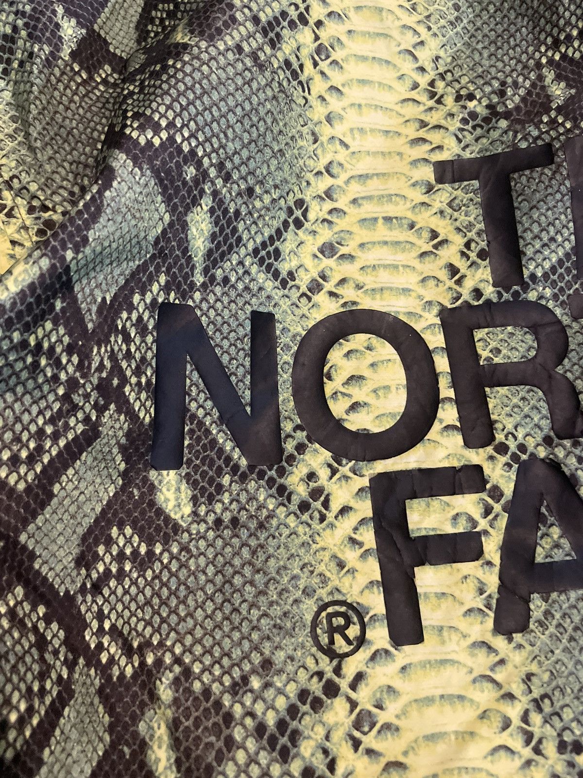 Supreme × The North Face Supreme X The North Face Snakeskin Coach SS18 Size US L / EU 52-54 / 3 - 25 Thumbnail