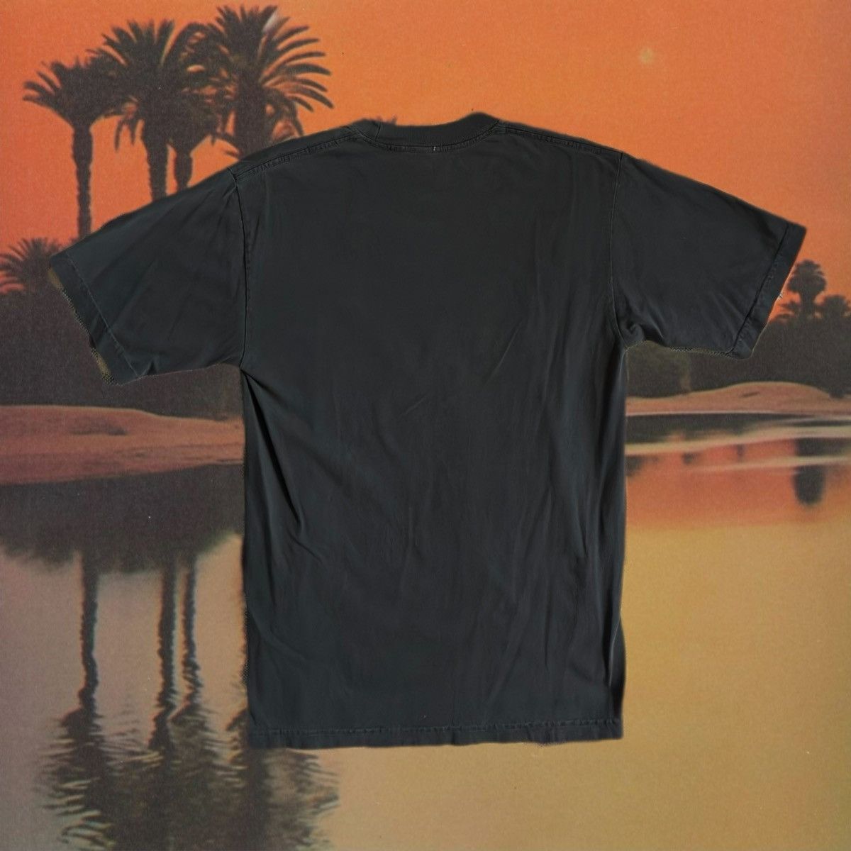 Other Midwest Cowboy - NWT Bluff T-Shirt Size S / US 4 / IT 40 - 4 Thumbnail