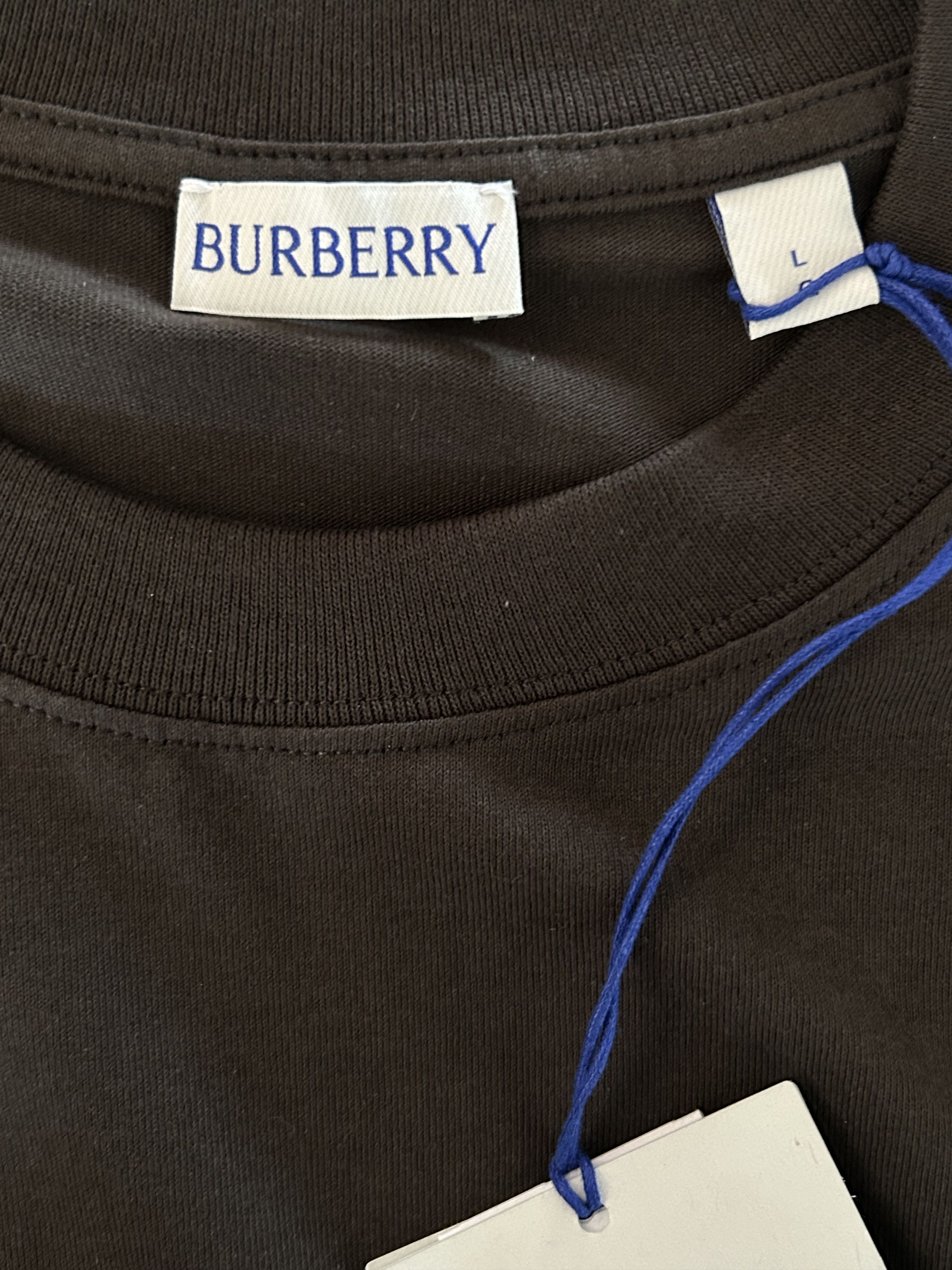 Burberry Burberry Brown Embroidered Logo T-Shirt Size US L / EU 52-54 / 3 - 3 Thumbnail