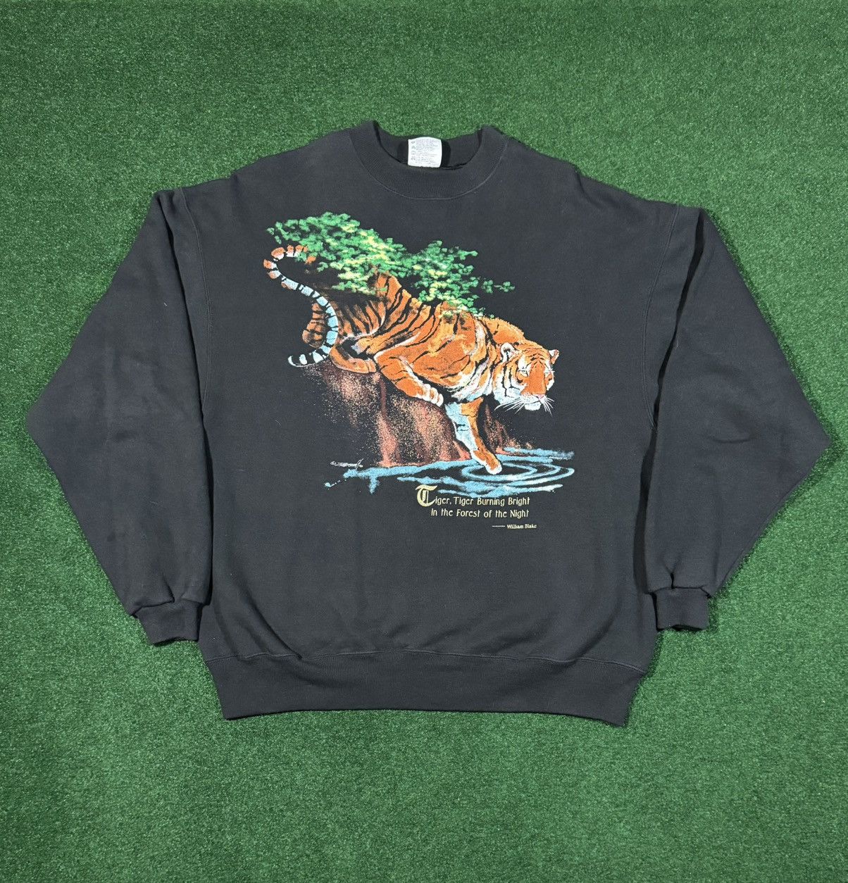 Amuse society Tiger vintage knit fleece pant main image 0