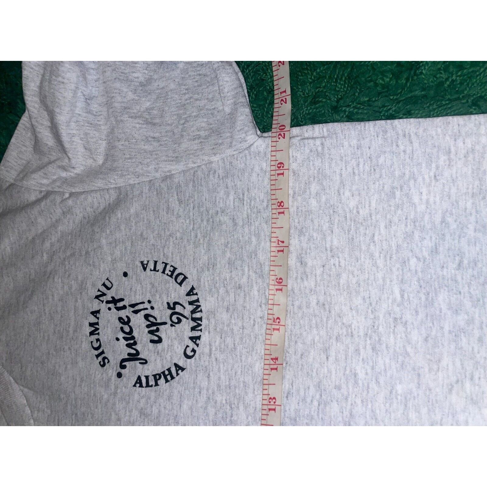 Jerzees Vintage Sigma Nu Alpha Gamma Delta Shirt Gray Tee 90s VTG L Size US L / EU 52-54 / 3 - 9 Thumbnail