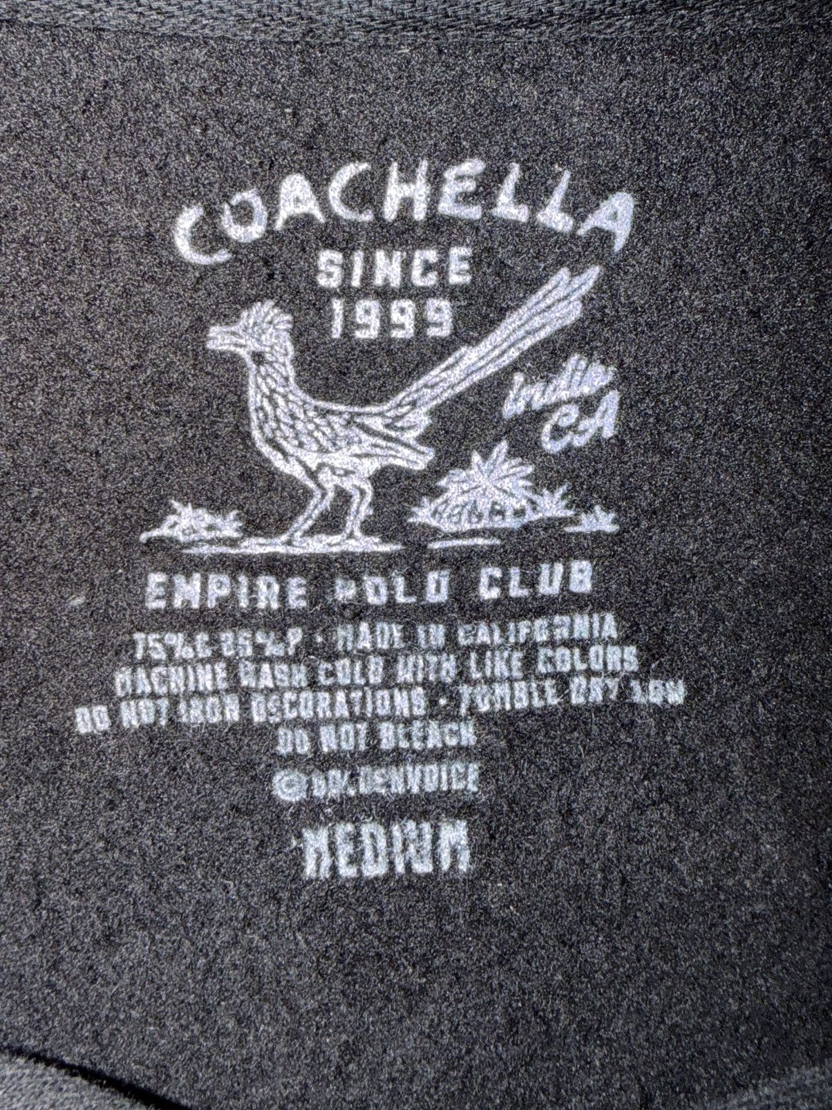 Coachella Medium Coachella 2025 Festival Hoodie Size US M / EU 48-50 / 2 - 3 Thumbnail