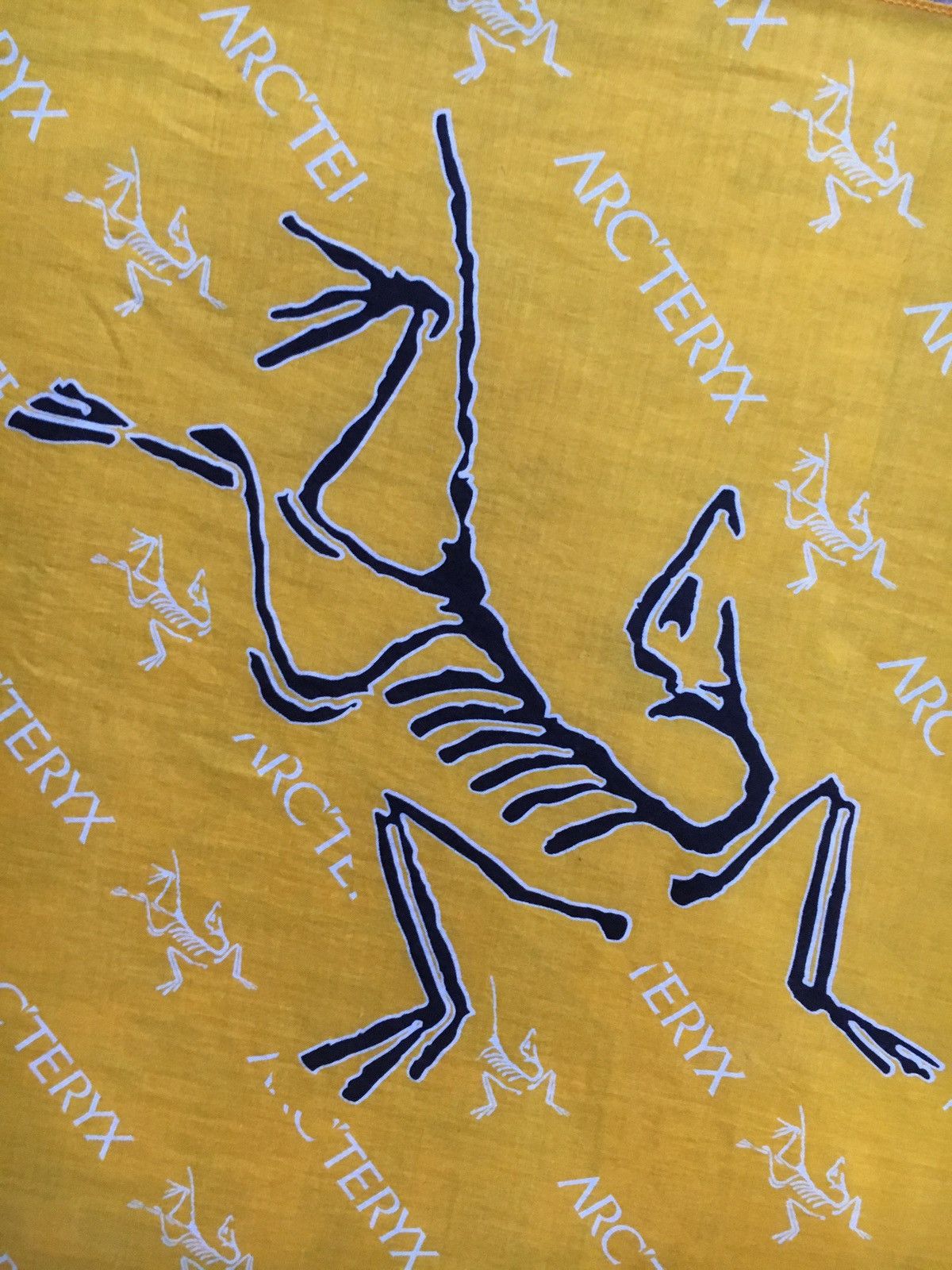 Arc'teryx Arc’teryx Handkerchief Size ONE SIZE - 2 Thumbnail