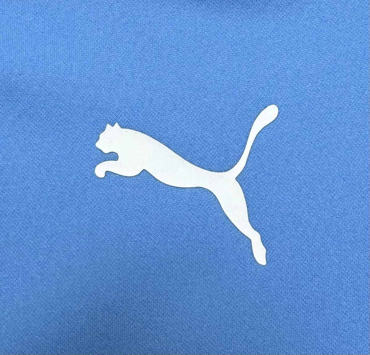 Puma Manchester City 2020 2021 Football Shirt Soccer Top Puma Size US L / EU 52-54 / 3 - 8 Thumbnail
