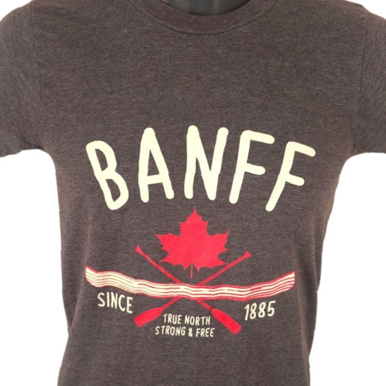 Vintage Banff National Park T Shirt Gray Mens XS Tee Canada Travel Destination Adventure Nature Shirt Mens XS Gray Banff National Park Tee Size US XS / EU 42 / 0 - 2 Thumbnail