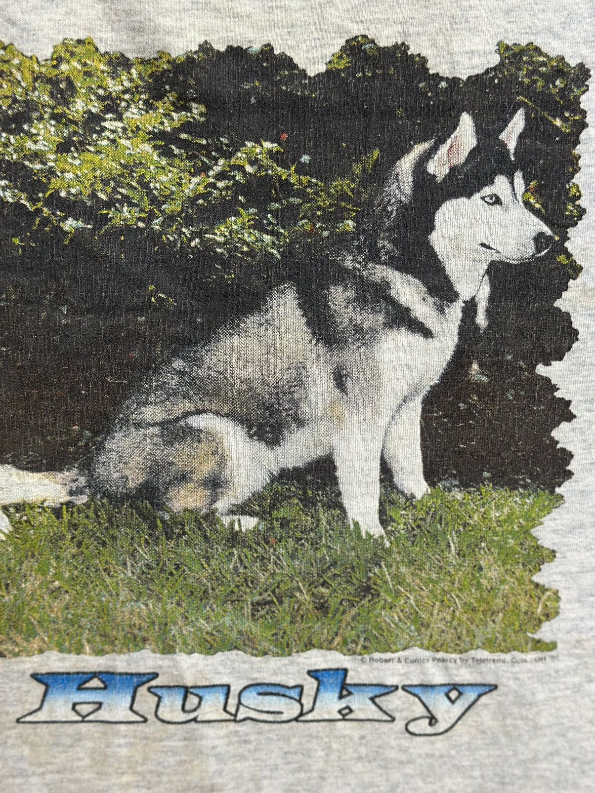 Vintage Vintage 90s Husky Robert & Eunice Pearcy Faded Tee Size US M / EU 48-50 / 2 - 2 Thumbnail