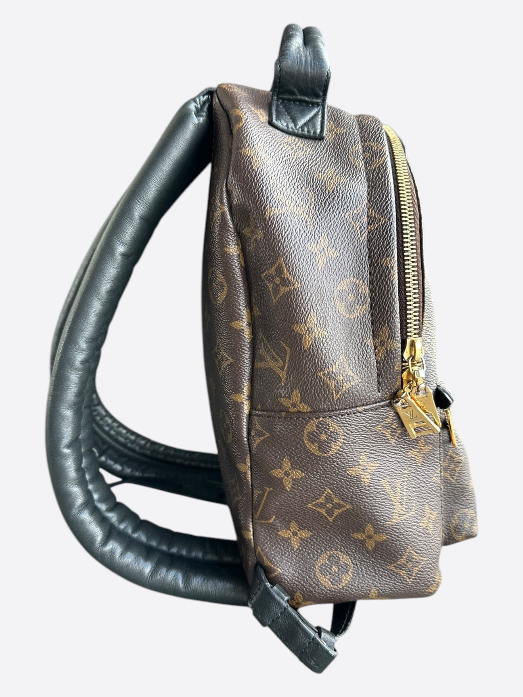 Louis Vuitton Louis Vuitton Brown Monogram Palm Springs Mini Backpack Size ONE SIZE - 2 Thumbnail