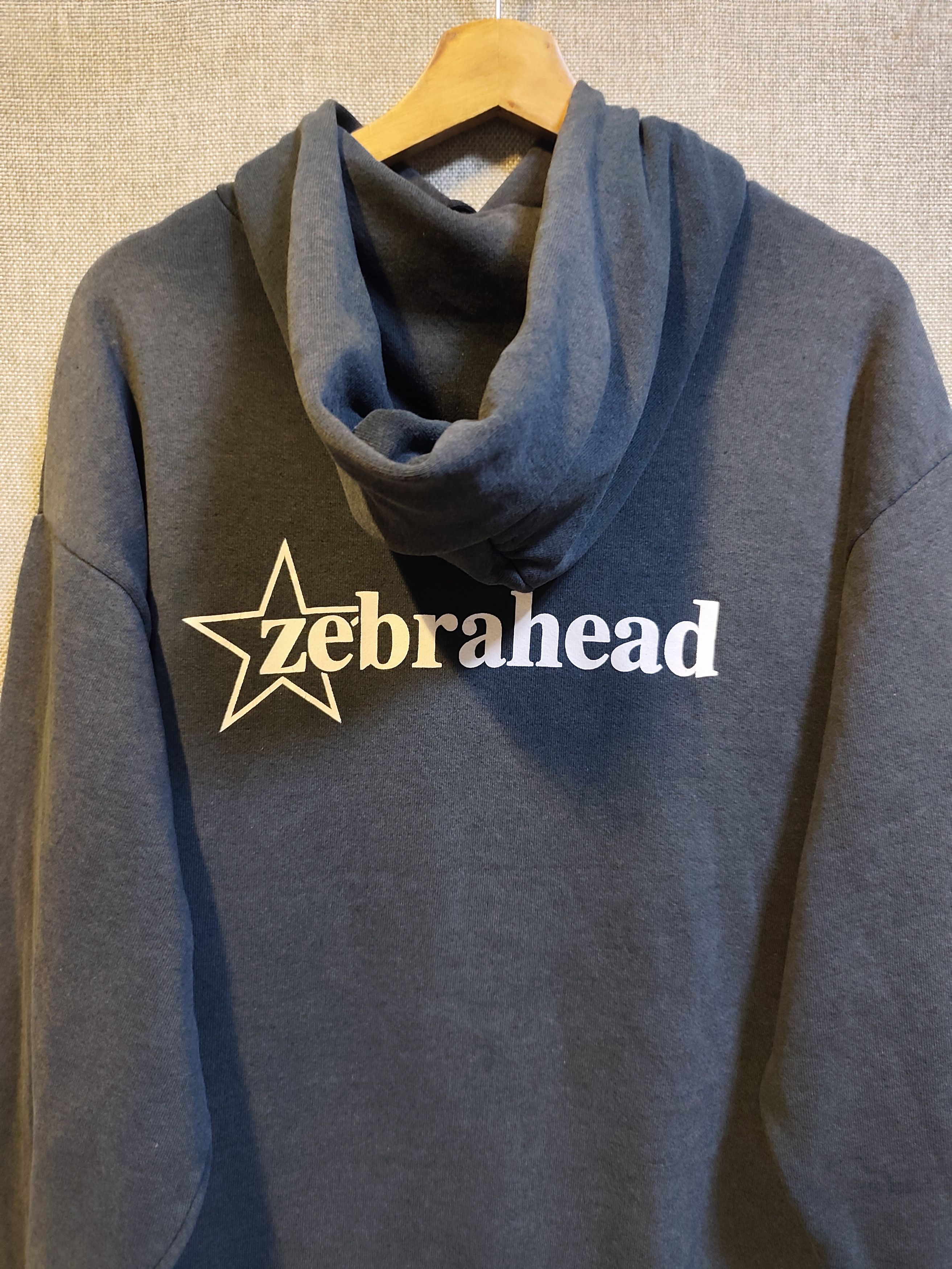 Band Tees Vntage 90s Hoodie Band Zebrahead Punk Rock Size US M / EU 48-50 / 2 - 3 Thumbnail