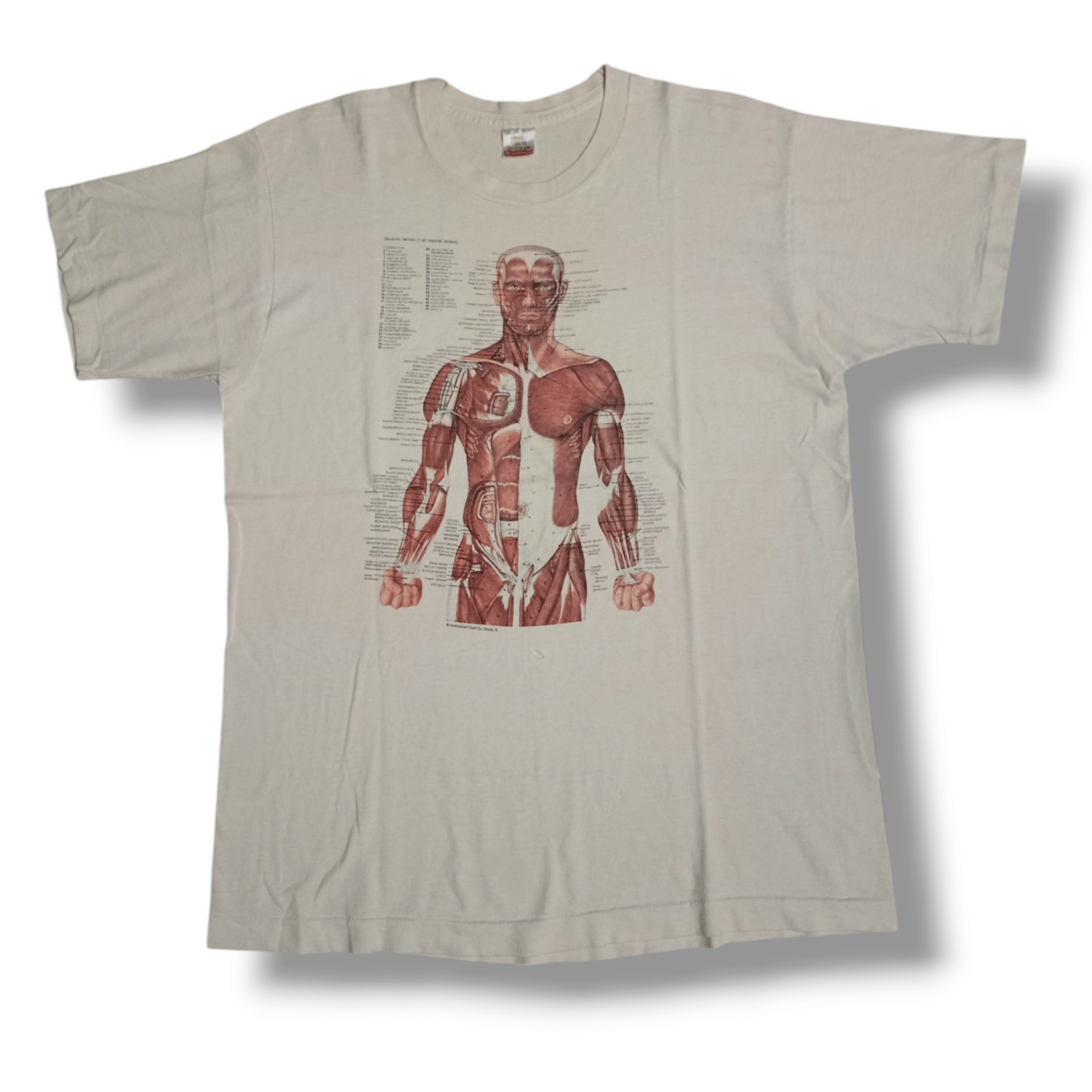 Vintage Vintage rare anatomy Kurt Cobain t shirt Size US L / EU 52-54 / 3 - 1 Thumbnail