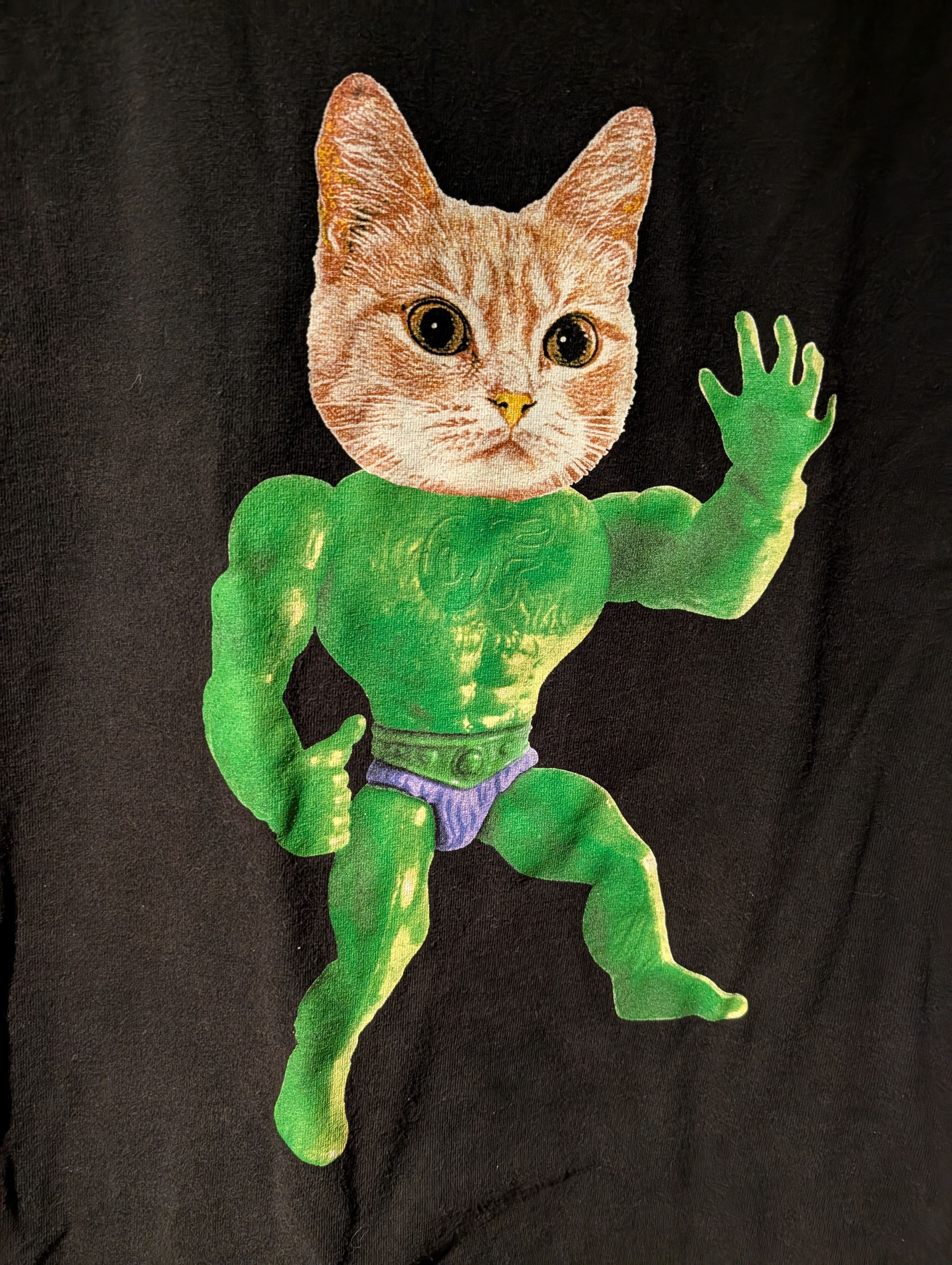 Odd Future Vintage Odd Future Cat Hulk Muslcular Black Large T-Shirt Size US L / EU 52-54 / 3 - 2 Thumbnail