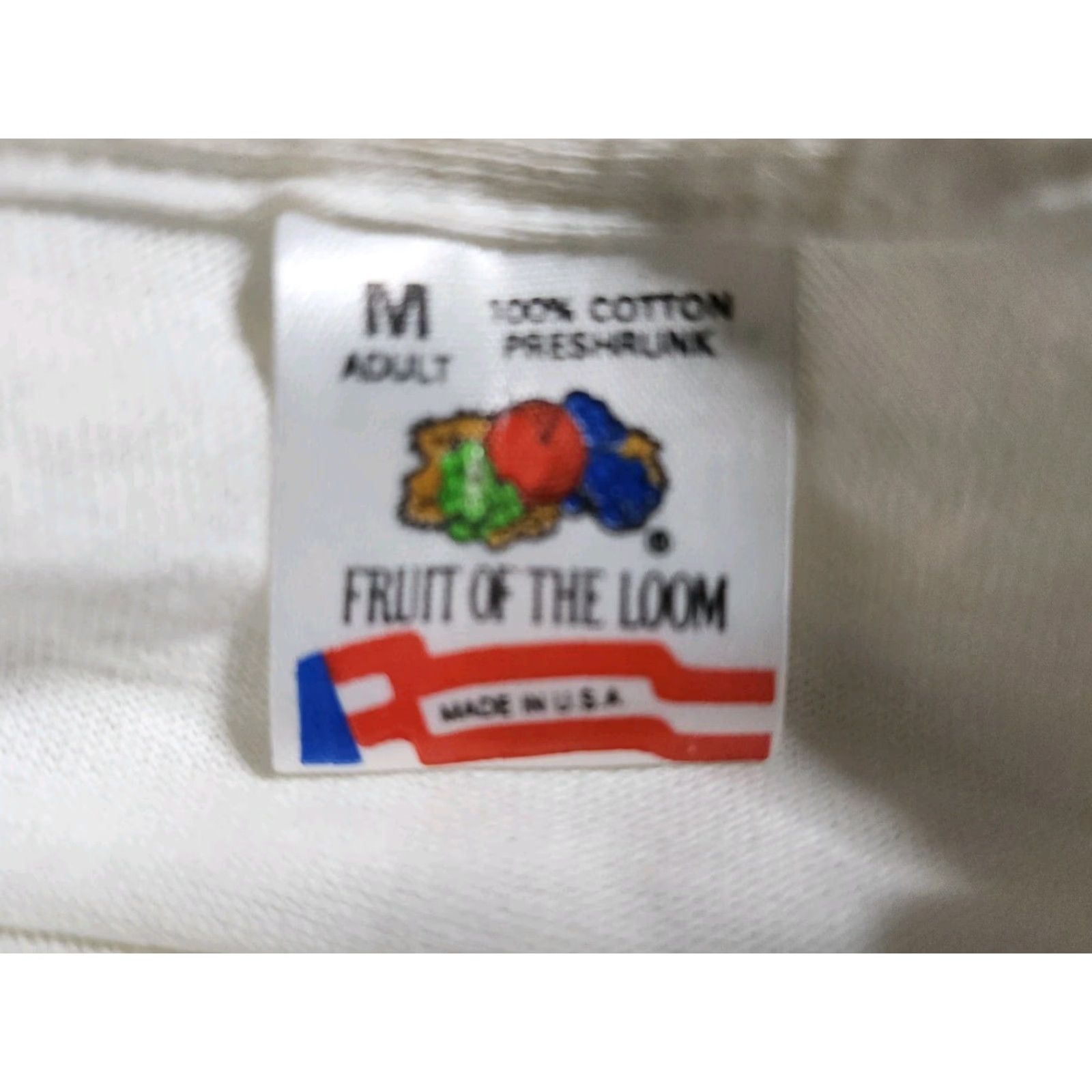 Fruit Of The Loom VINTAGE Fruit of the Loom Mens M T Shirt 1994 90s White Short Sleeve Crew Neck Graphic Print USA Family Picnic March Of Dimes FL Distress Size US M / EU 48-50 / 2 - 7 Thumbnail