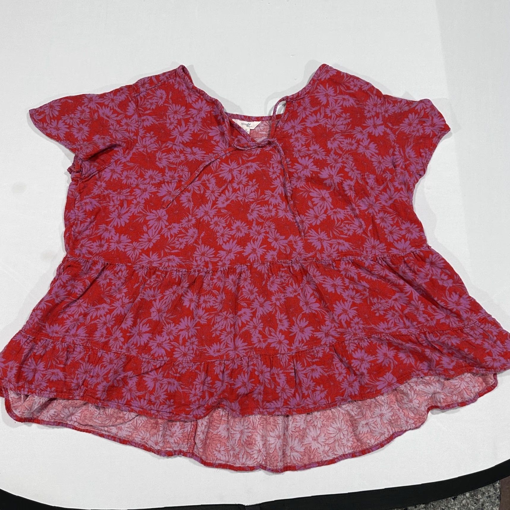 Vintage Terra & Sky Blouse Womens Plus 2X Pink Tunic Short Sleeve V-Neck Ruffle Floral Size XXL / US 16-18 / IT 52-54 - 2 Thumbnail
