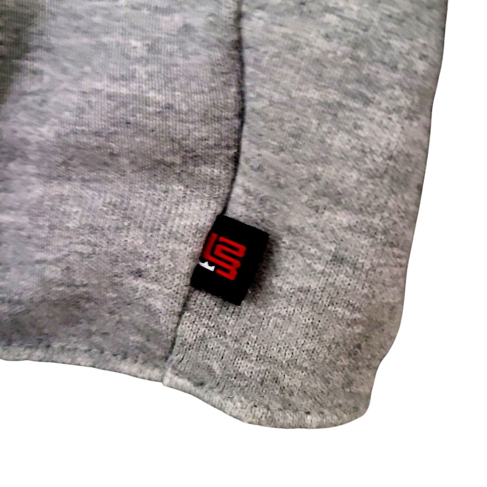 Nike Y2K Nike Lebron King James Large Heavy Lion Stars Hoodie Size US L / EU 52-54 / 3 - 9 Thumbnail