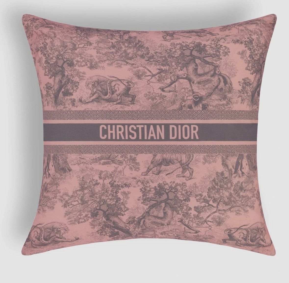 Dior o1bcso1str0125 Pillow in Grey & Pink Size ONE SIZE - 1 Thumbnail