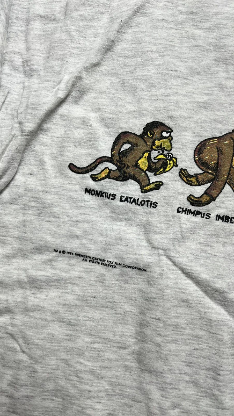 The Simpsons 1996 The Simpsons Homersapien evolution t shirt Size US XL / EU 56 / 4 - 4 Thumbnail