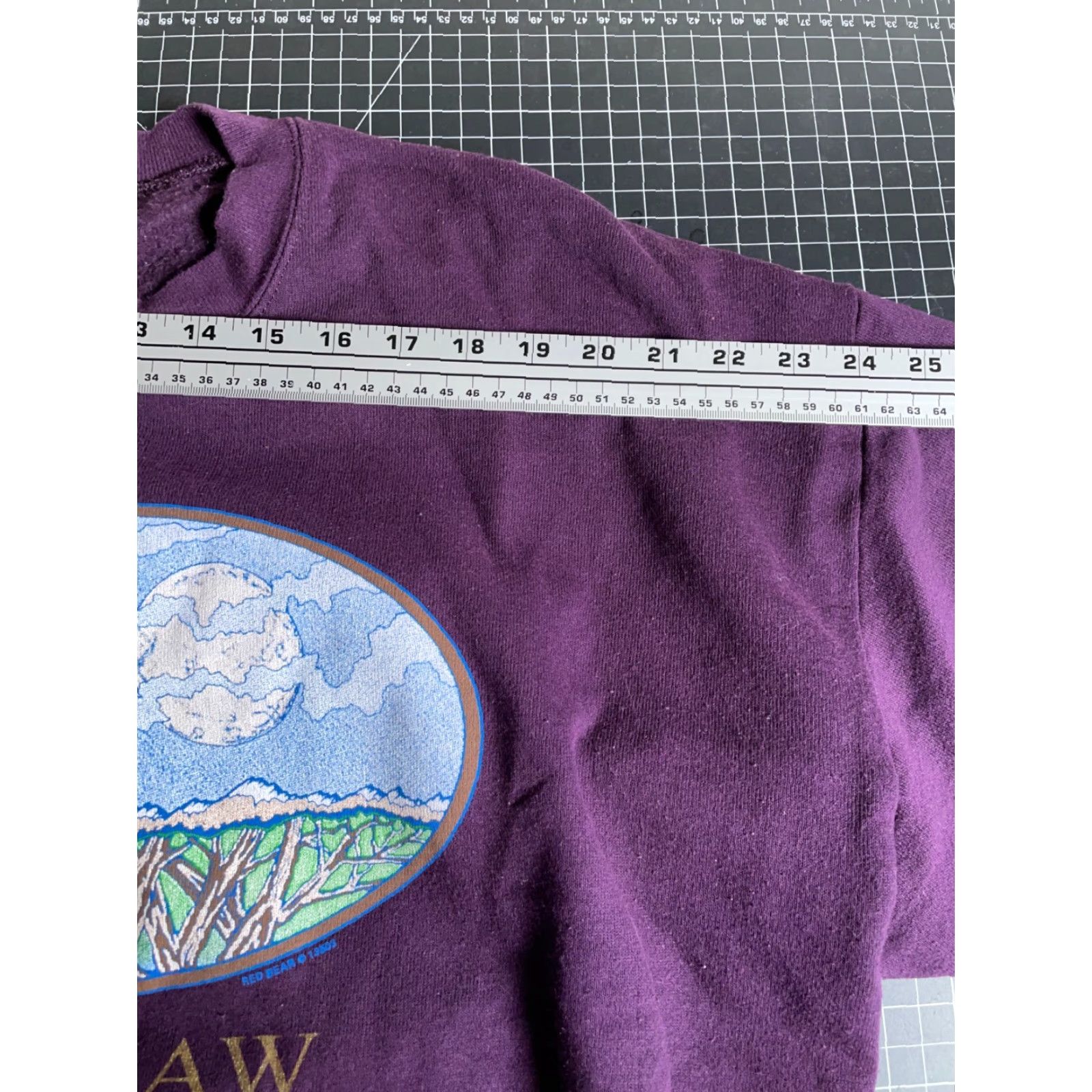 Jerzees JERZEES Sweatshirt Adult XL Purple Graphic Print Saginaw Michigan VTG Crewneck 90s Wolf Moon Size US XL / EU 56 / 4 - 7 Thumbnail