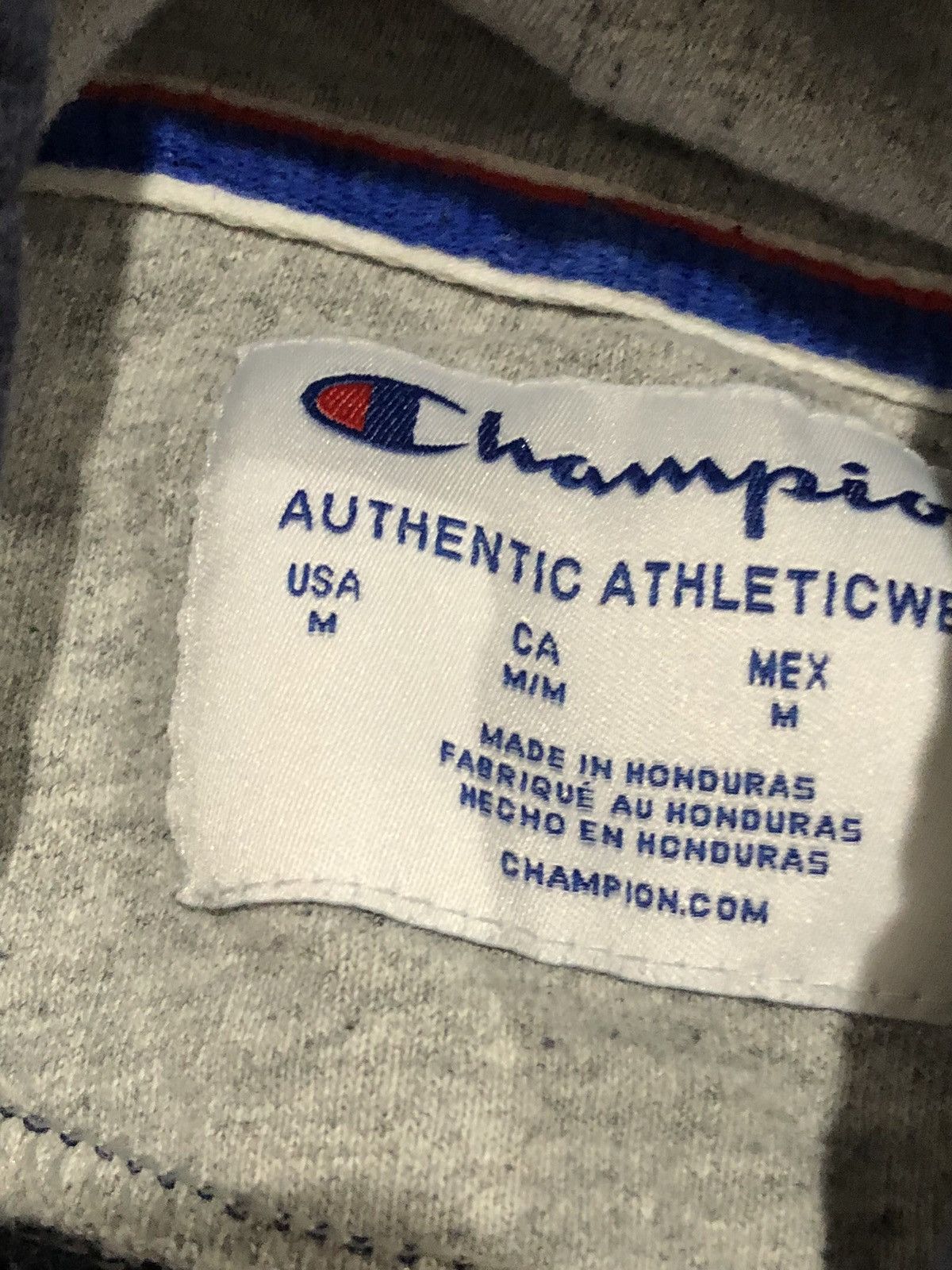 Champion Champion Spellout Hoodie Size US M / EU 48-50 / 2 - 4 Thumbnail