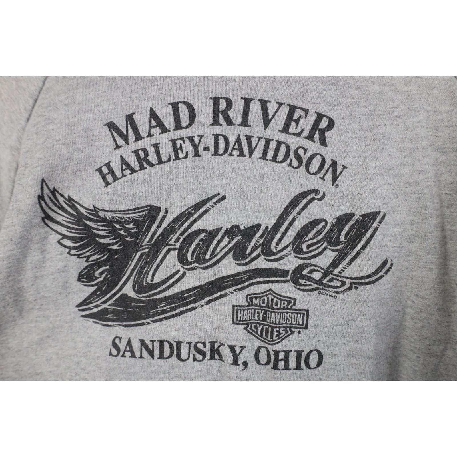 Harley Davidson Vintage Y2K Harley Davidson Striped French Terry Hoodie Size XL / US 12-14 / IT 48-50 - 11 Thumbnail