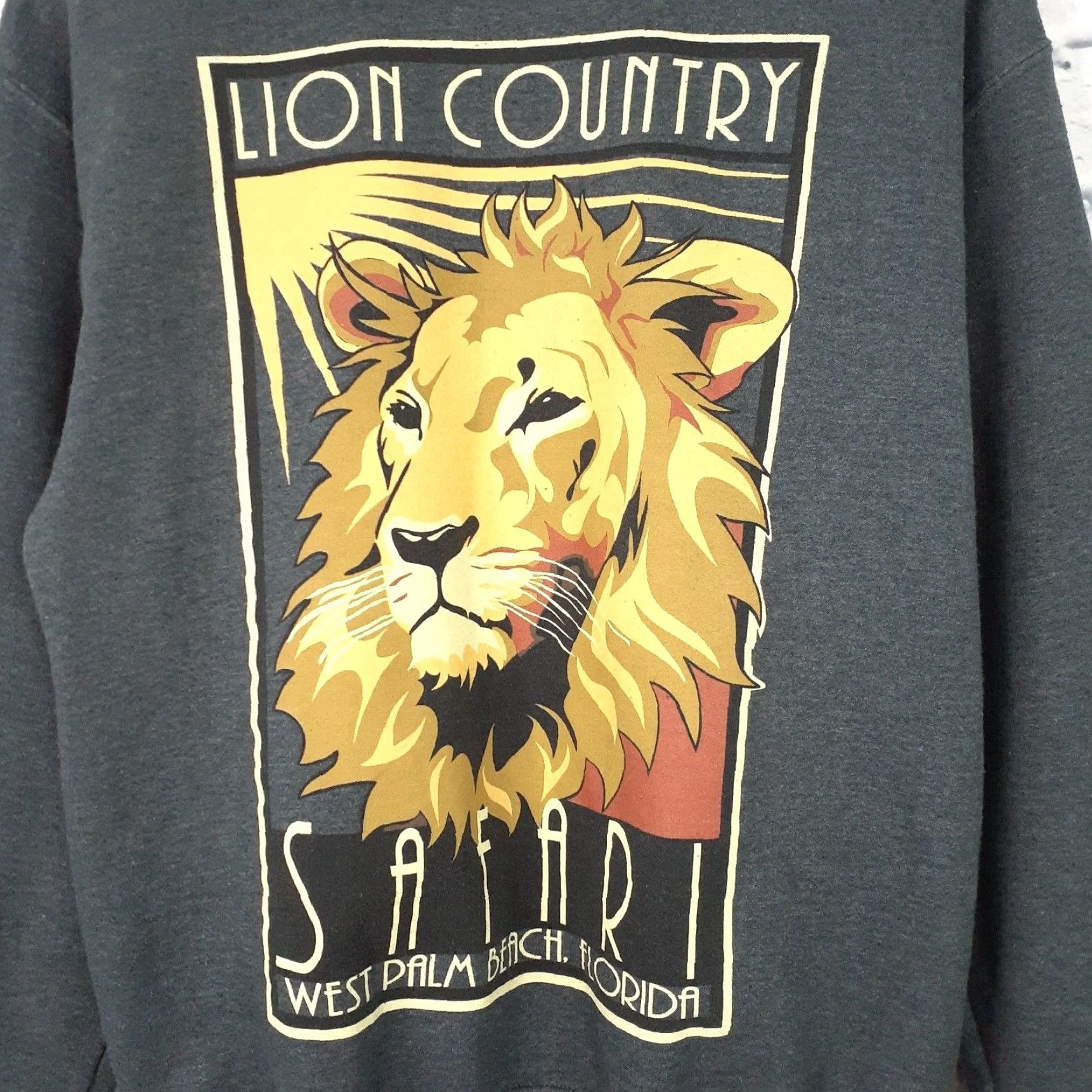Gildan **Gildan Gray Pullover Sweatshirt Small** User: **Gildan Gray Sweatshirt Adult Small** Size US S / EU 44-46 / 1 - 2 Thumbnail