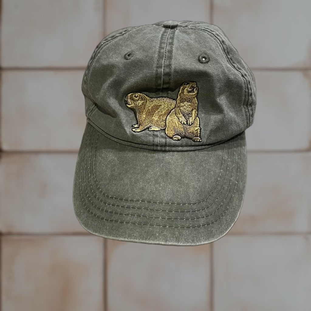 Ecco VINTAGE ECO Prarie Dog Glen Canyon National Recreation Hat Strap Back Green Dad Hat Size ONE SIZE - 1 Thumbnail