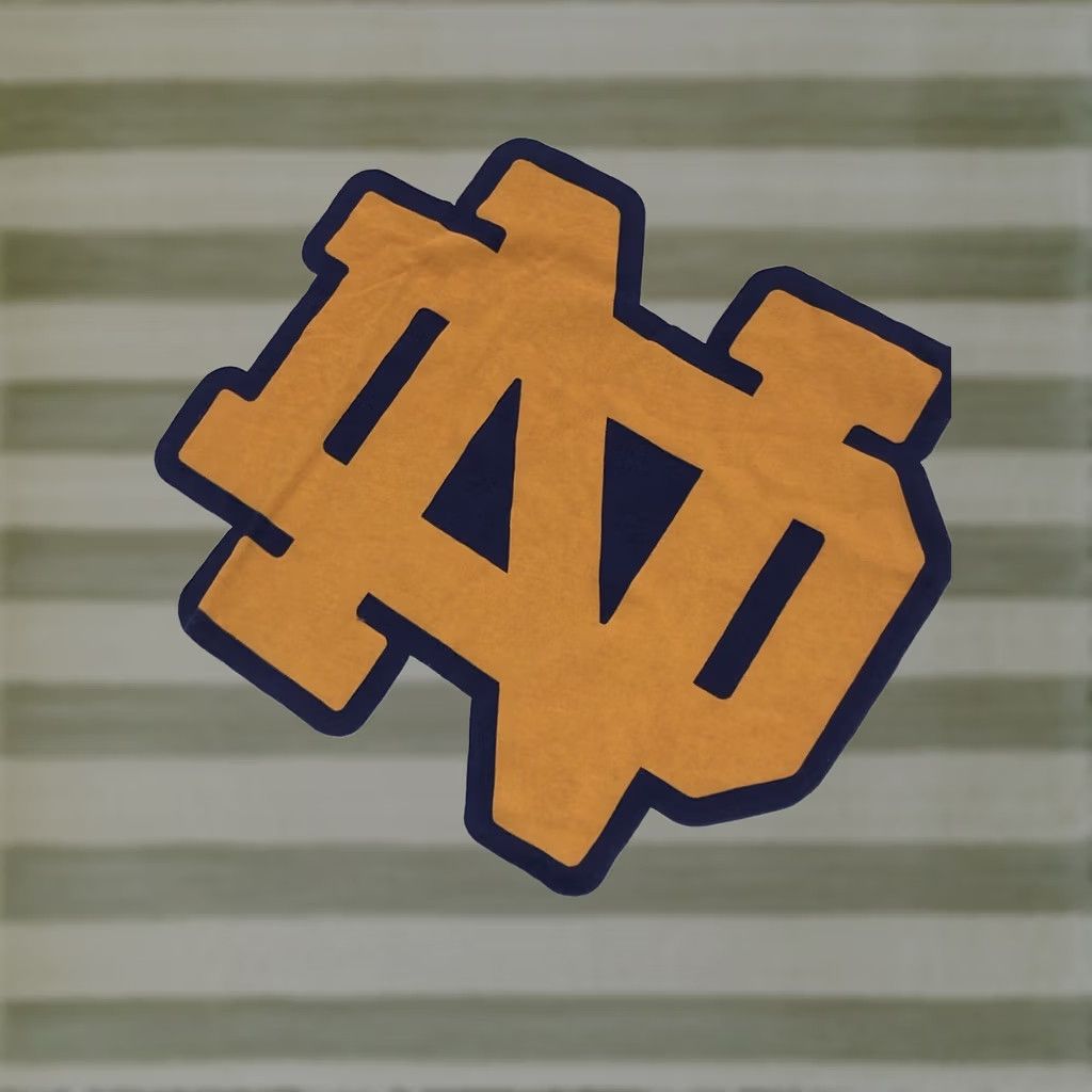 Vintage Notre Dame ND Notre Dame Fighting Irish University T-Shirt Unisex Adults White M Crew Neck Short Sleeve Shirt, Regular Fit, Casual, Meme-style Size M / US 6-8 / IT 42-44 - 1 Thumbnail