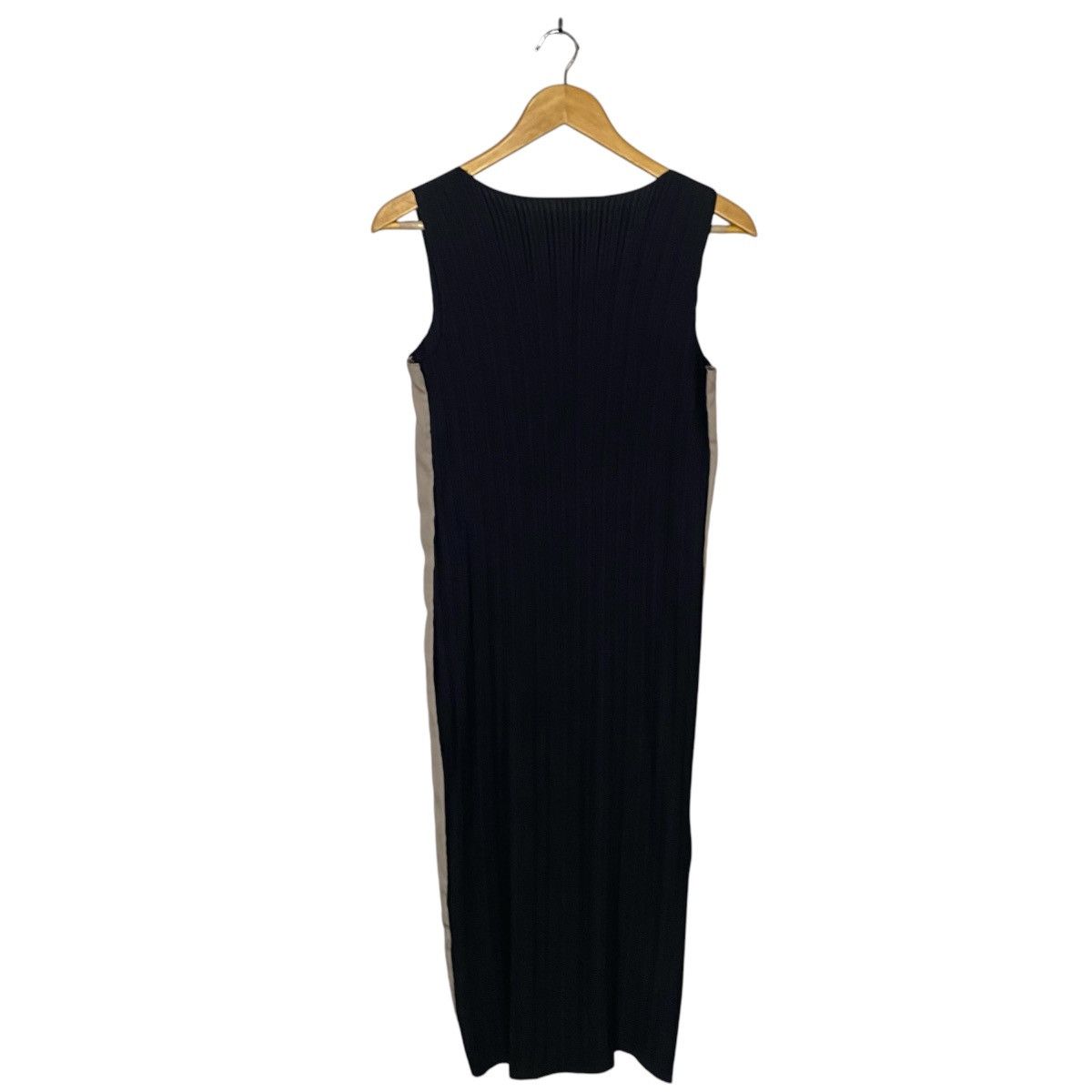 Mani Pleats Dress