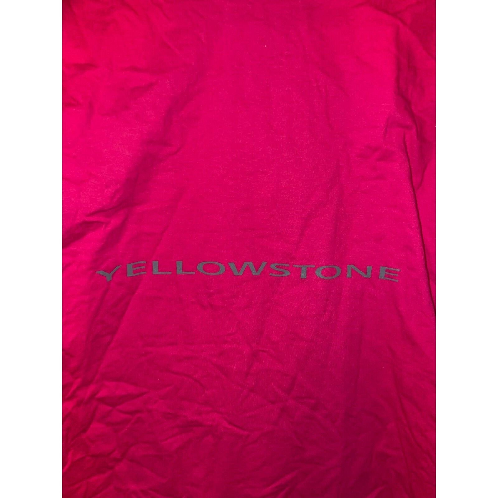 Jerzees Vintage Wisconsin Shirt Pink Flower Test Print Tee VTG 90s L Size US L / EU 52-54 / 3 - 8 Thumbnail