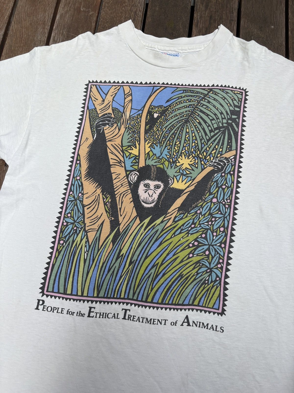 Hanes T-shirt vintage PETA rare 90s vegan Size US XL / EU 56 / 4 - 1 Thumbnail