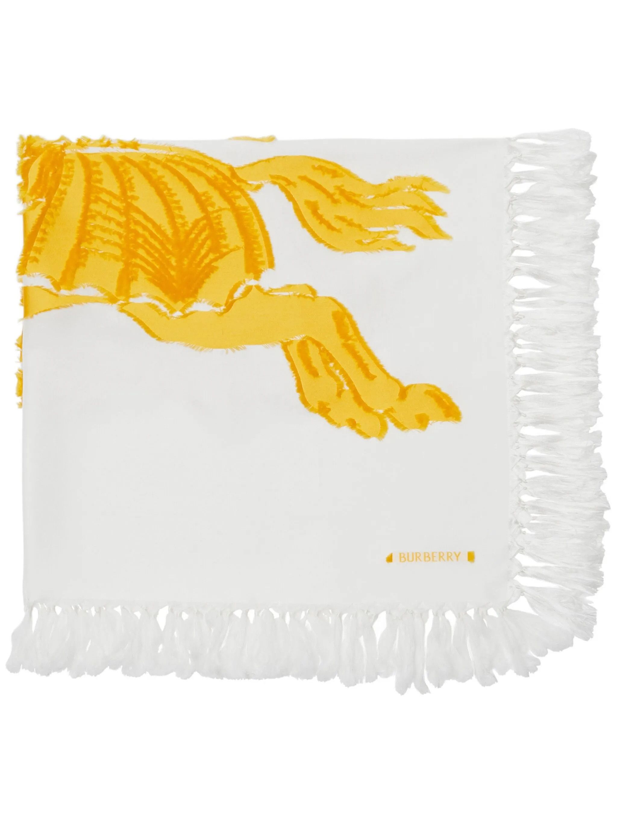 Burberry Luxury stole Burberry Size ONE SIZE - 4 Thumbnail