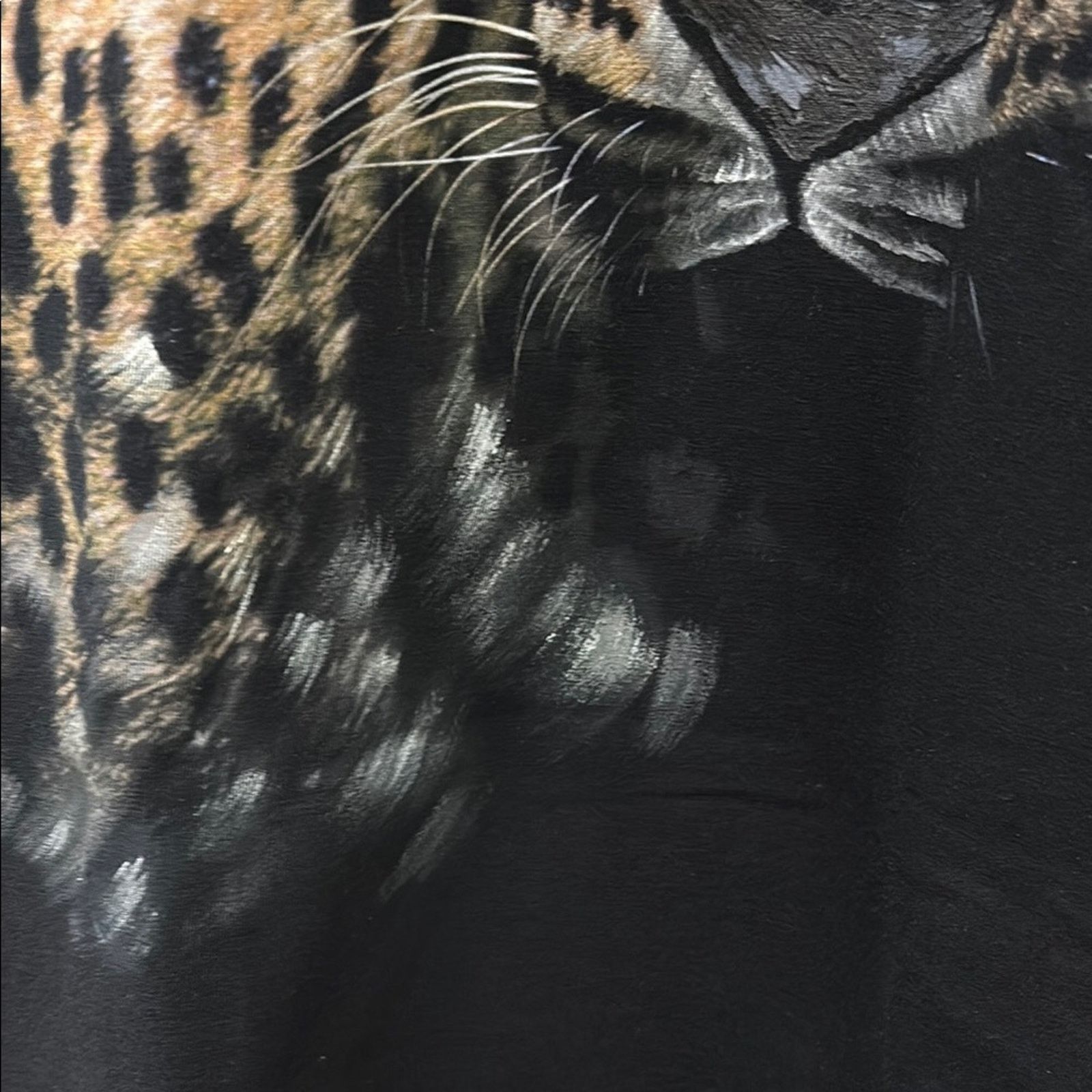 Etro NWT Etro Black Short Sleeve Tee with Leopard hand paintin XL Size US XL / EU 56 / 4 - 5 Thumbnail