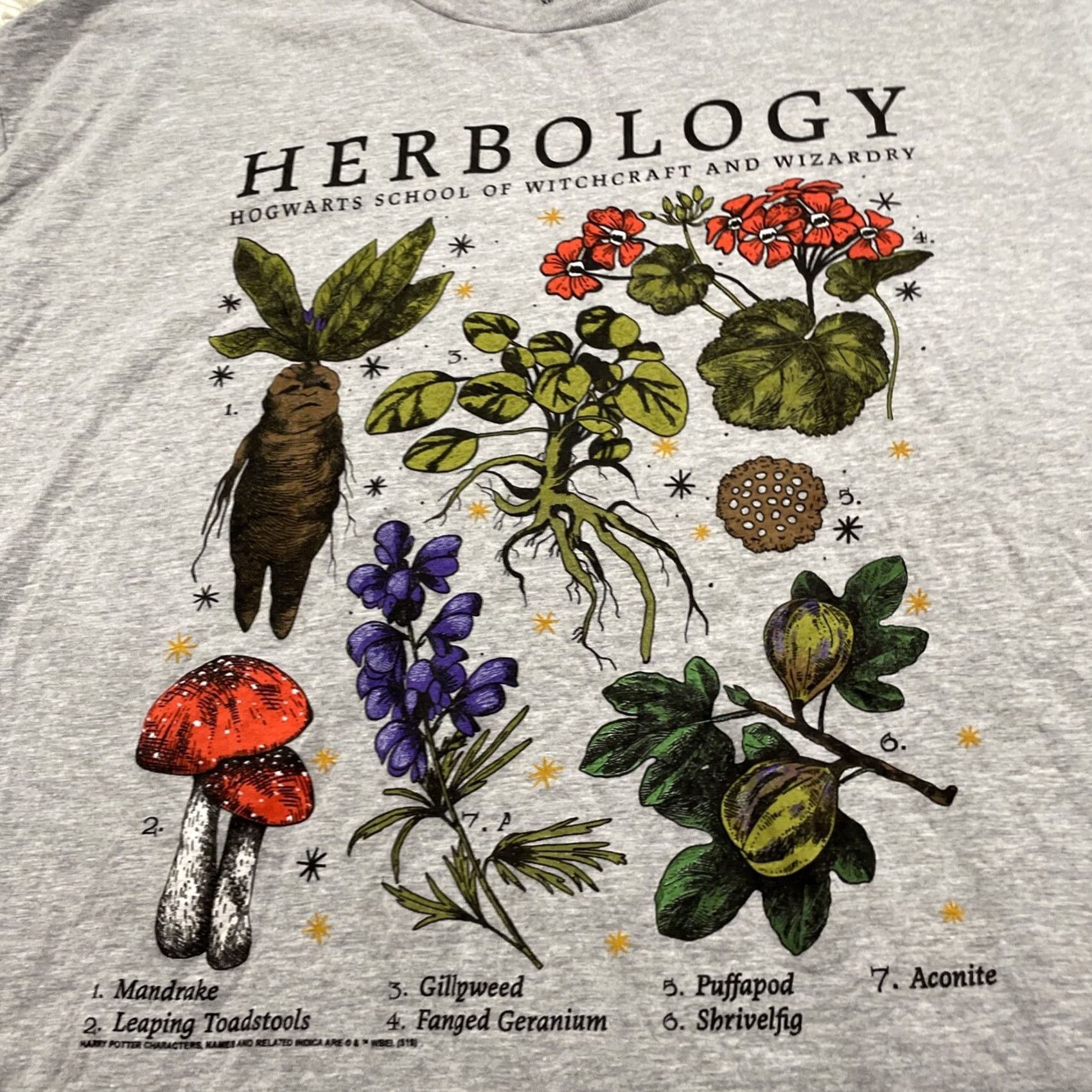 Vintage HARRY POTTER HERBOLOGY Shirt Men XL Gray Hogwarts Mandrake XL 46 48 Graphic Print Logo Crew Neck Short Sleeve Cotton Regular Size US XL / EU 56 / 4 - 4 Thumbnail